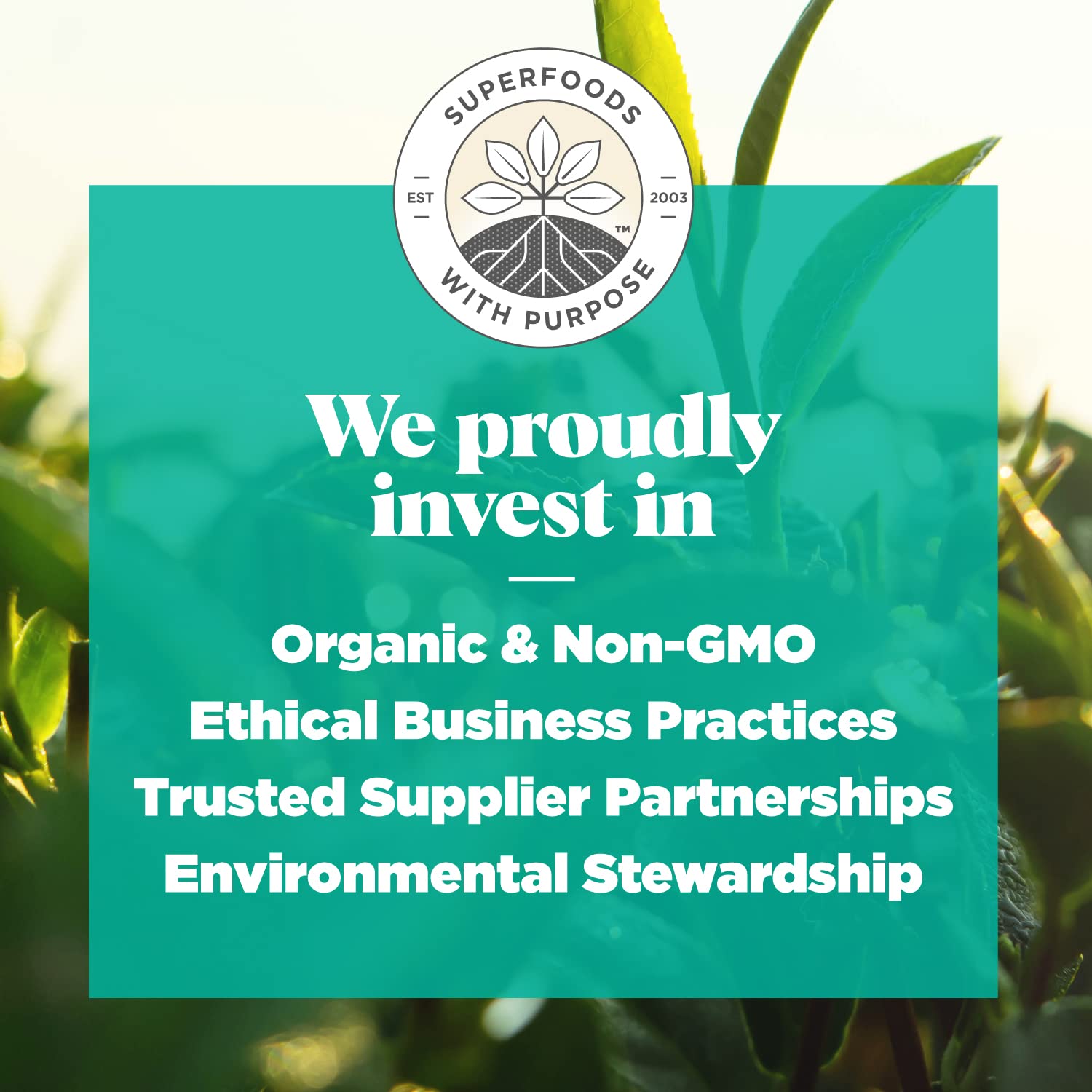 top-rated-matcha-powder-navitas-organics