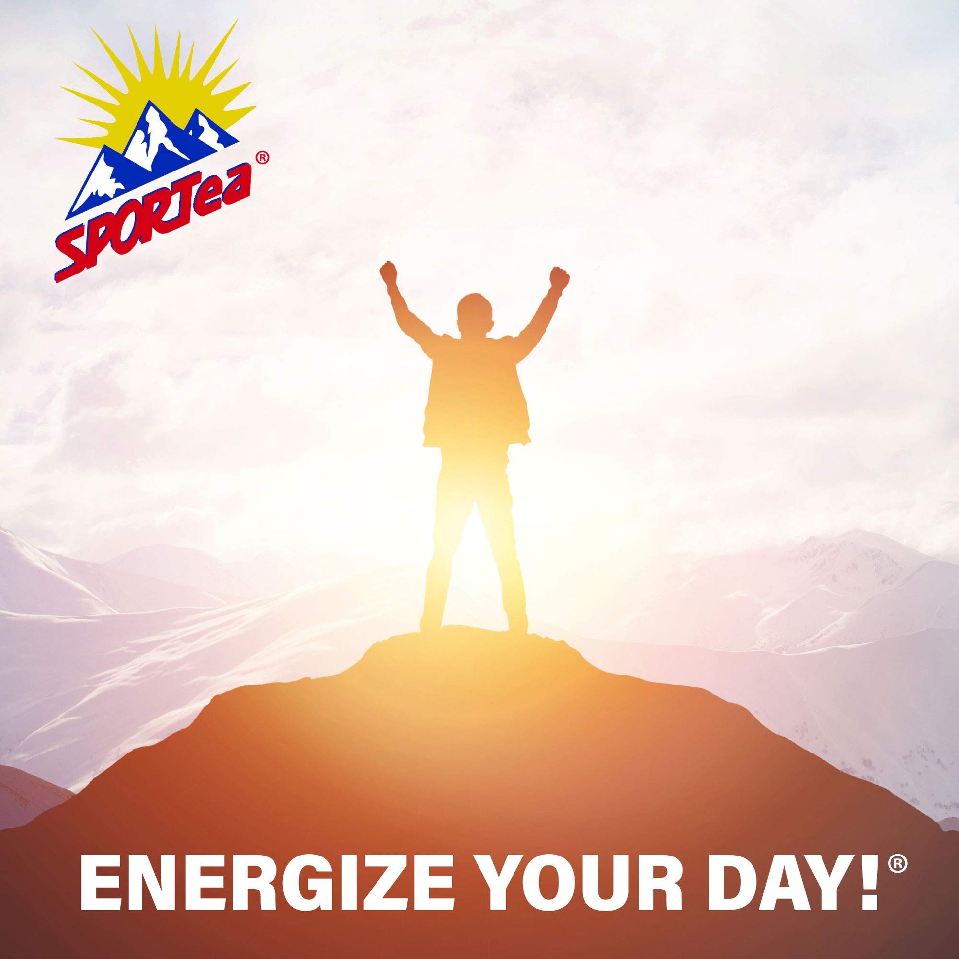 top-rated-decaf-coffee-sportea