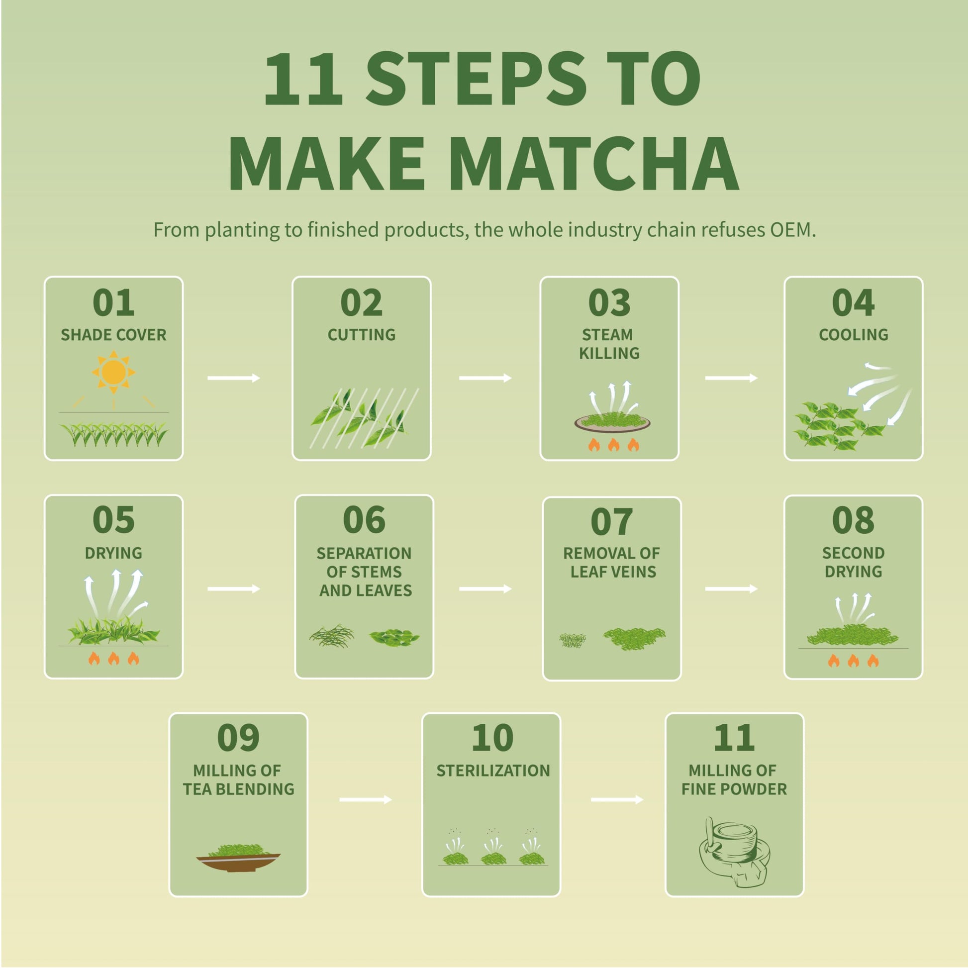 easy-to-brew-matcha-powder