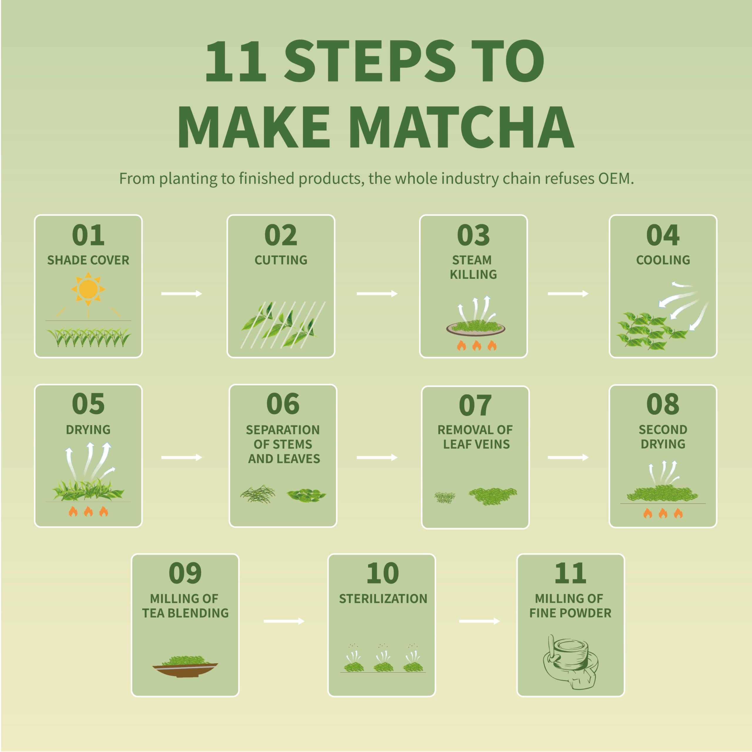 easy-to-brew-matcha-powder