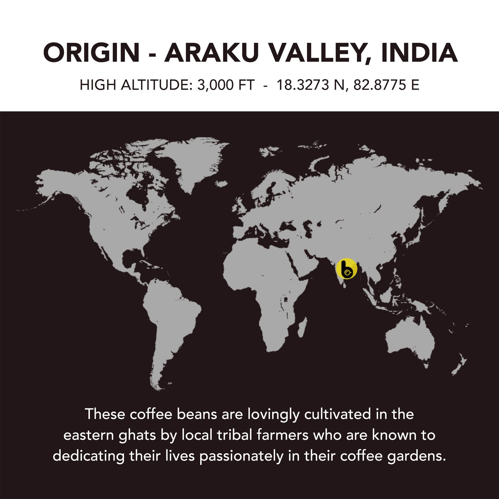 affordable-cold-brew-coffee