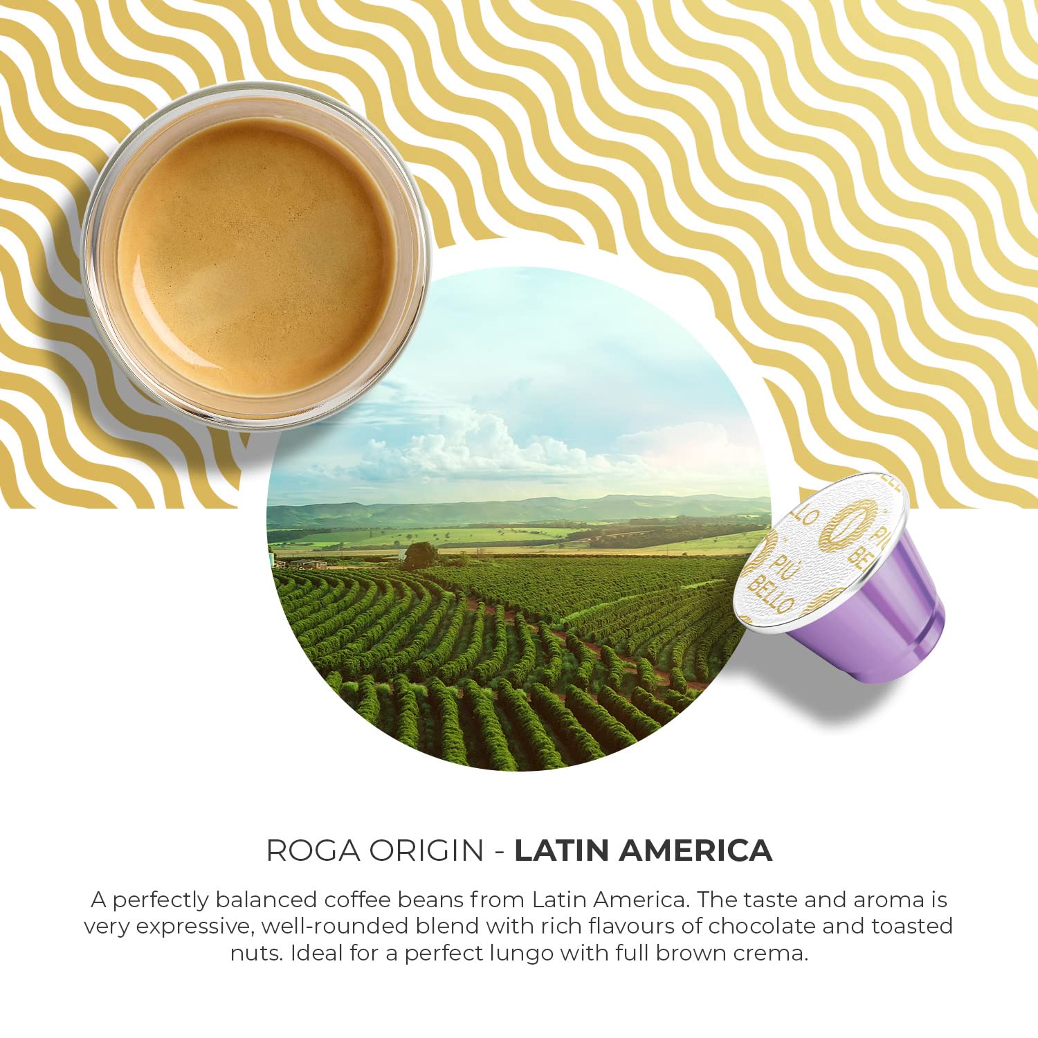 easy-to-brew-coffee-capsules-nespresso-style