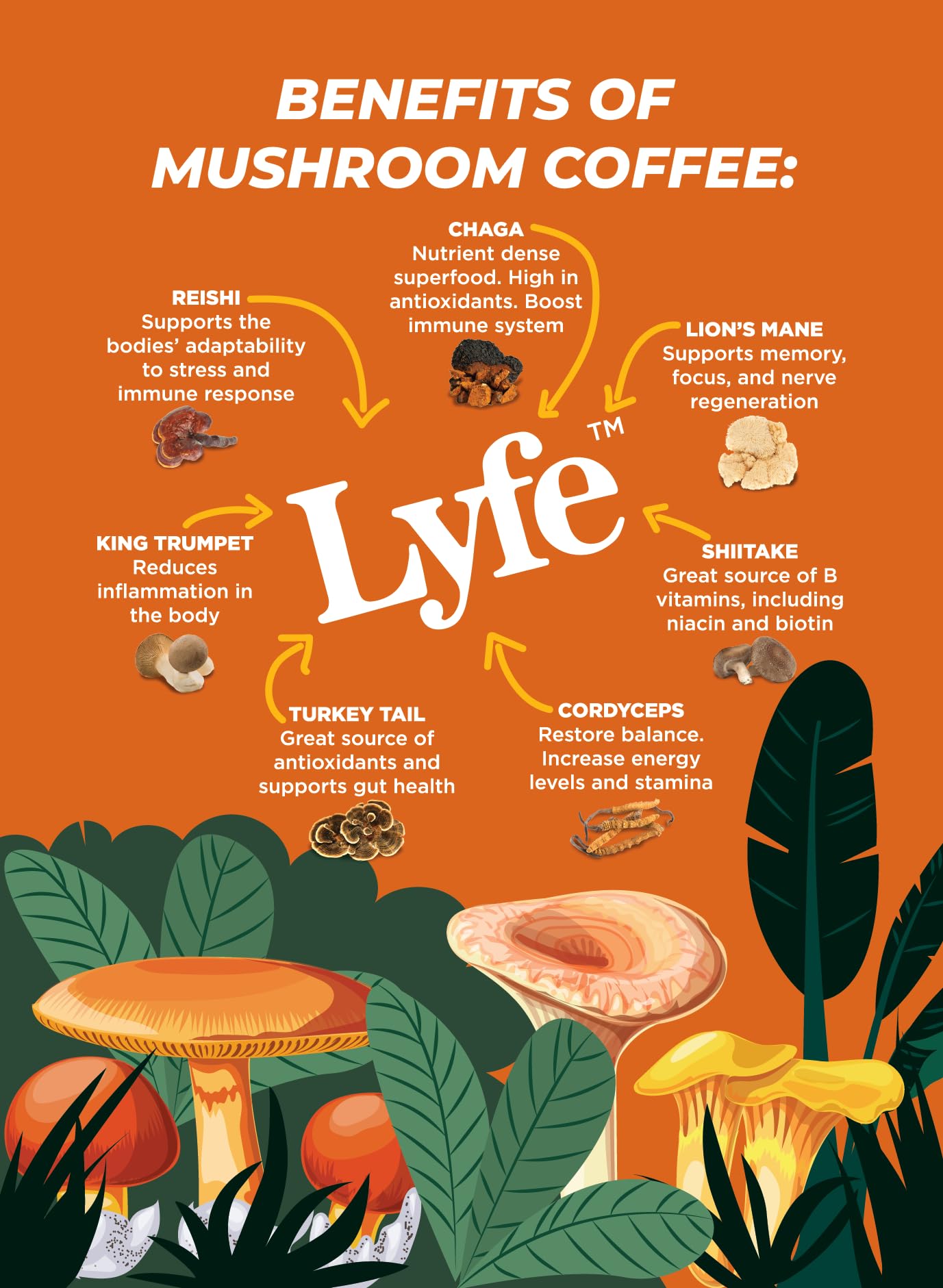 rich-full-bodied-decaf-coffee