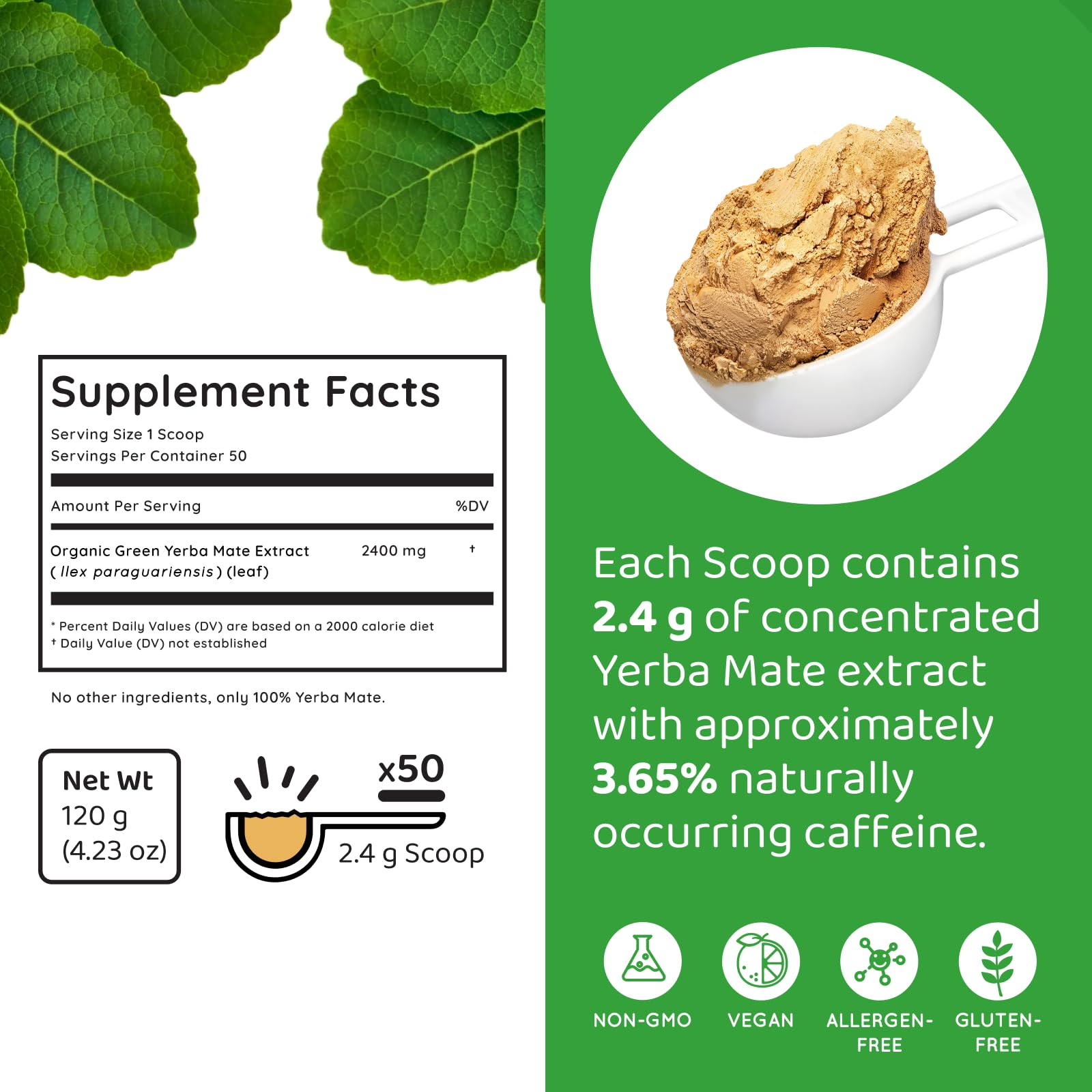 top-rated-instant-tea-holymary