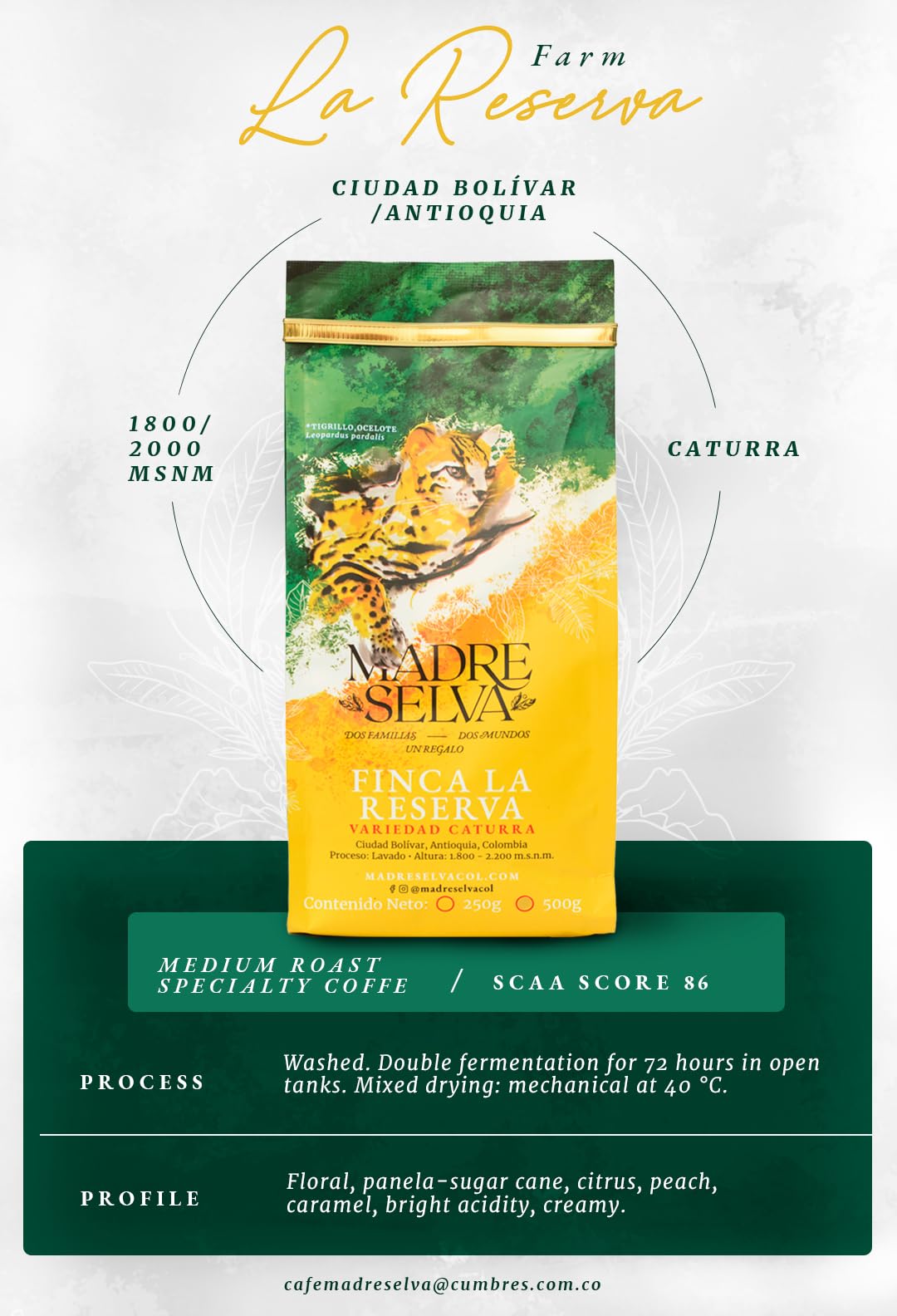 rich-full-bodied-whole-beans