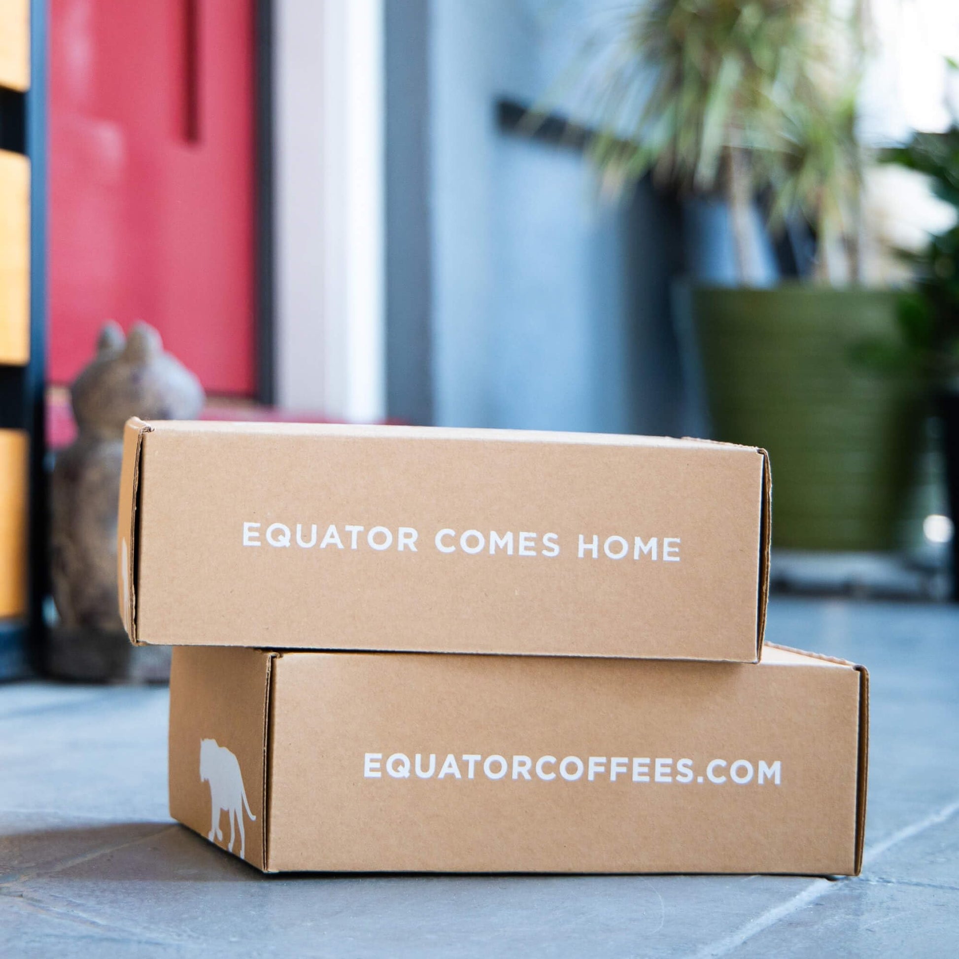 top-rated-decaf-coffee-equator-coffees