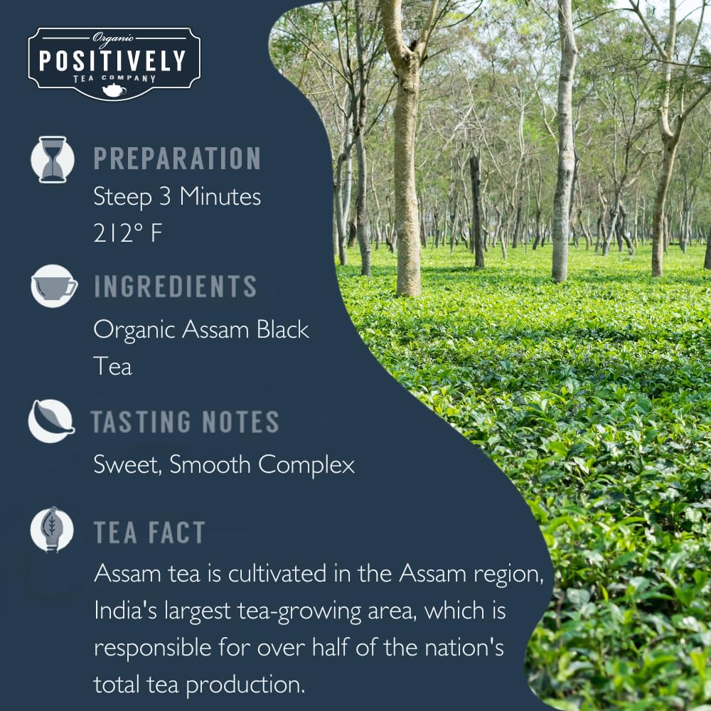 premium-black-tea-organic-positively-tea-company