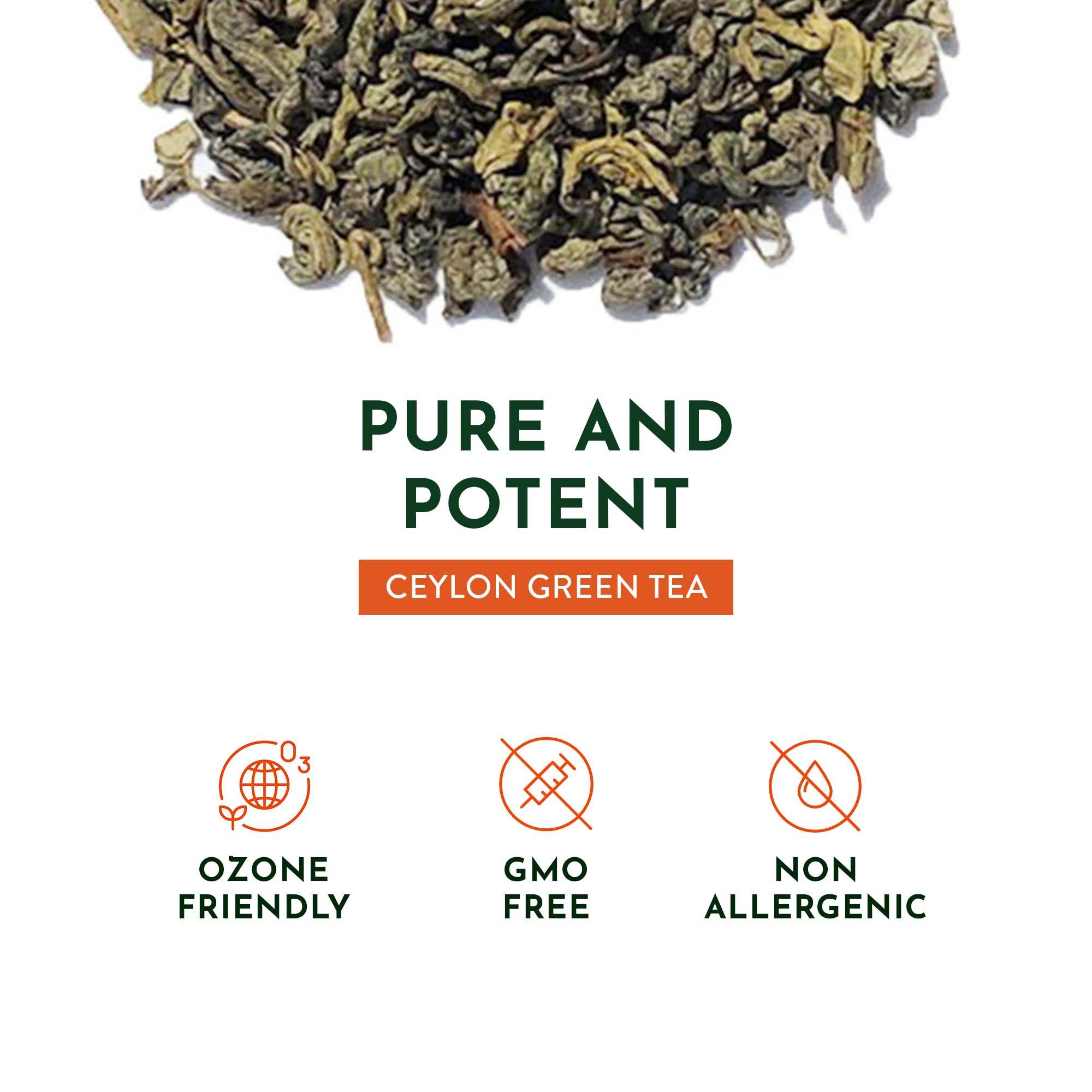 top-rated-green-tea-tekola