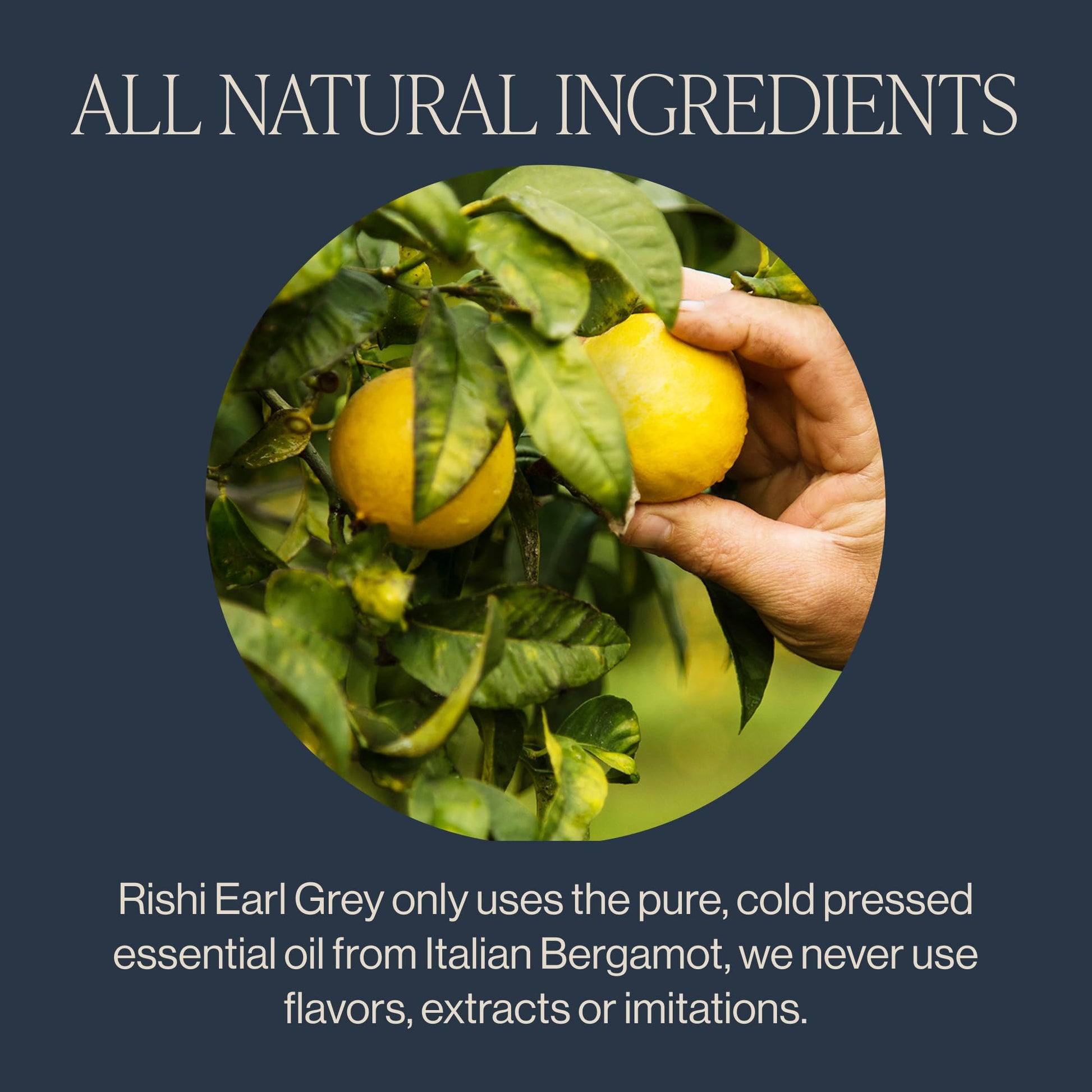 rich-full-bodied-black-tea