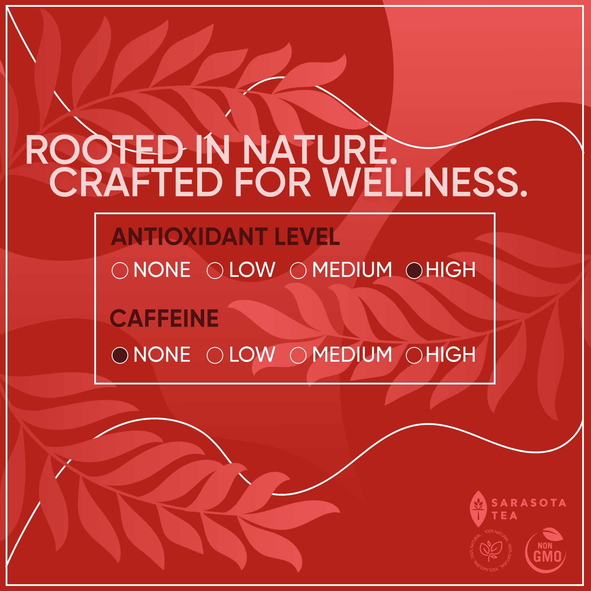 premium-chai-tea-sarasota-coffee-tea-co