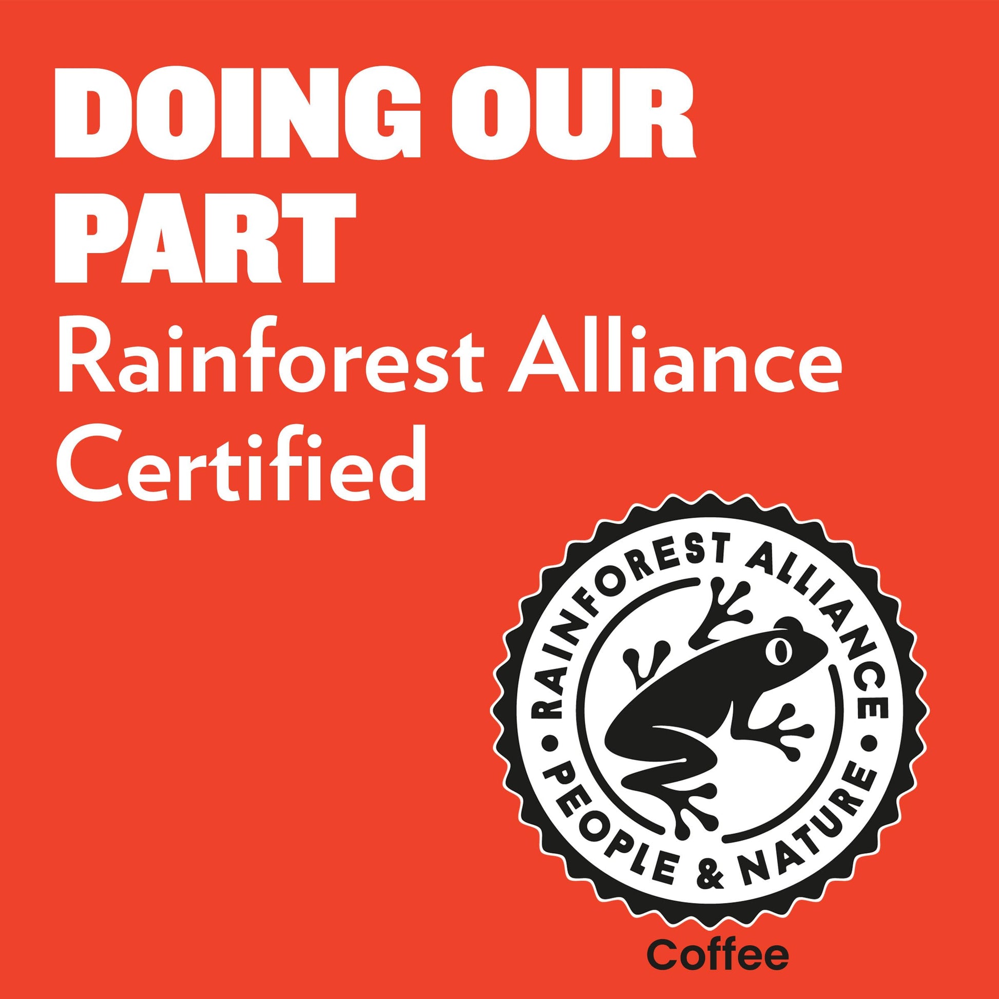 smooth-bold-flavor-cold-brew-coffee