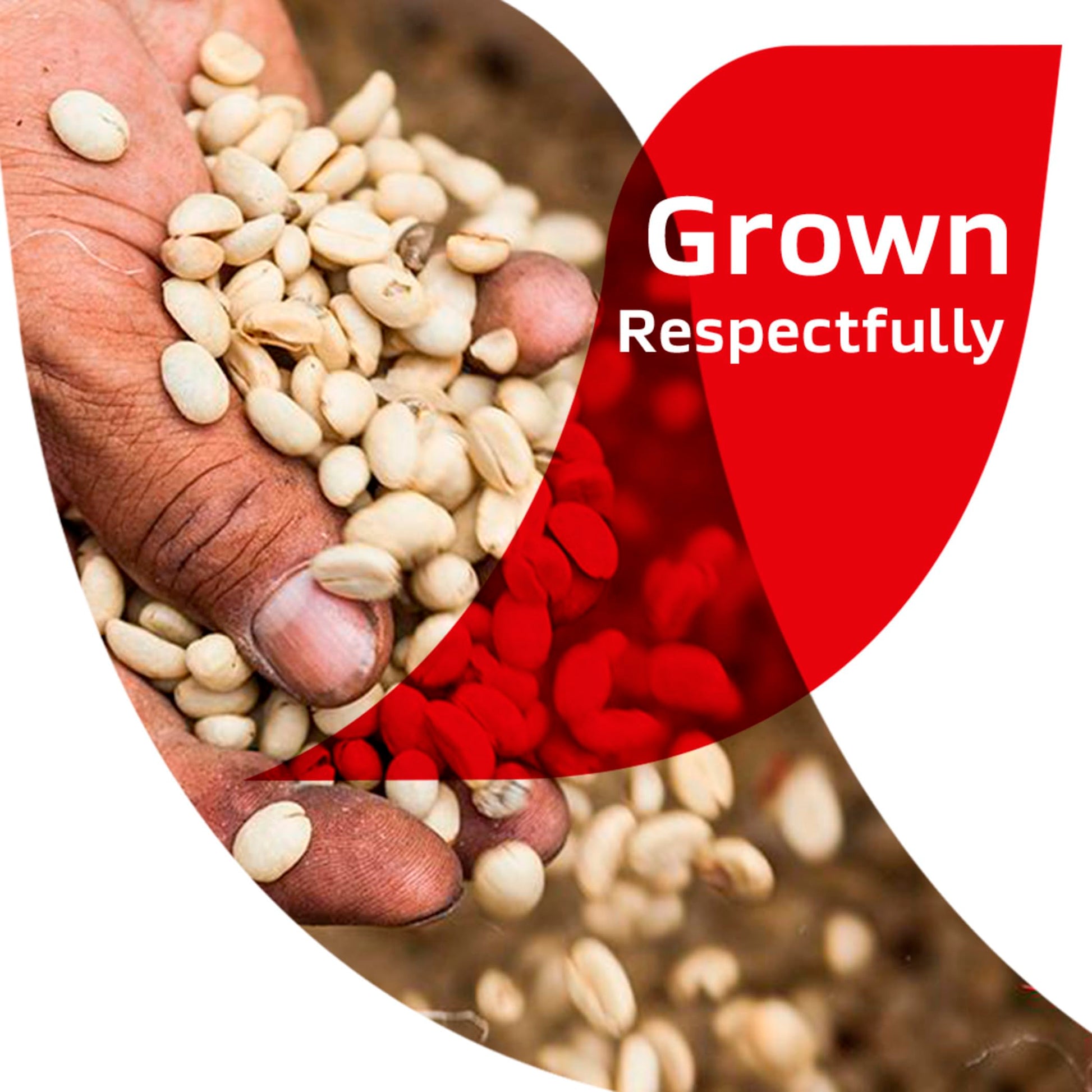 top-rated-instant-coffee-nescafe