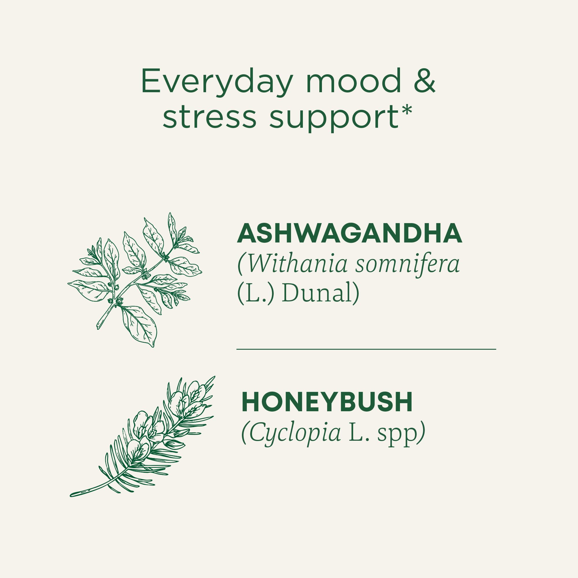 Traditional Medicinals, Organic Stress Ease Calm Tea, 16 Tea Bags