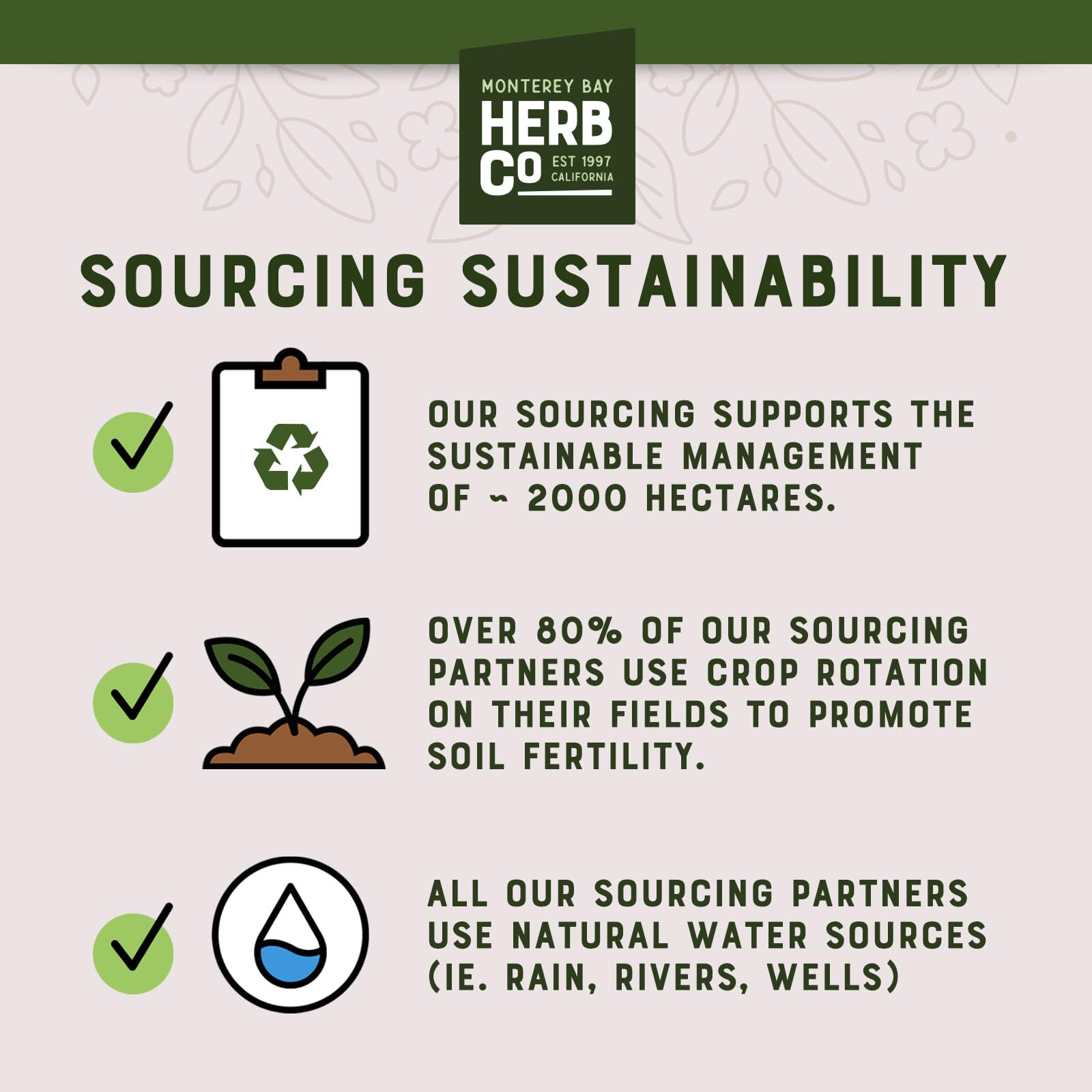 top-rated-chicory-coffee-monterey-bay-herb-co