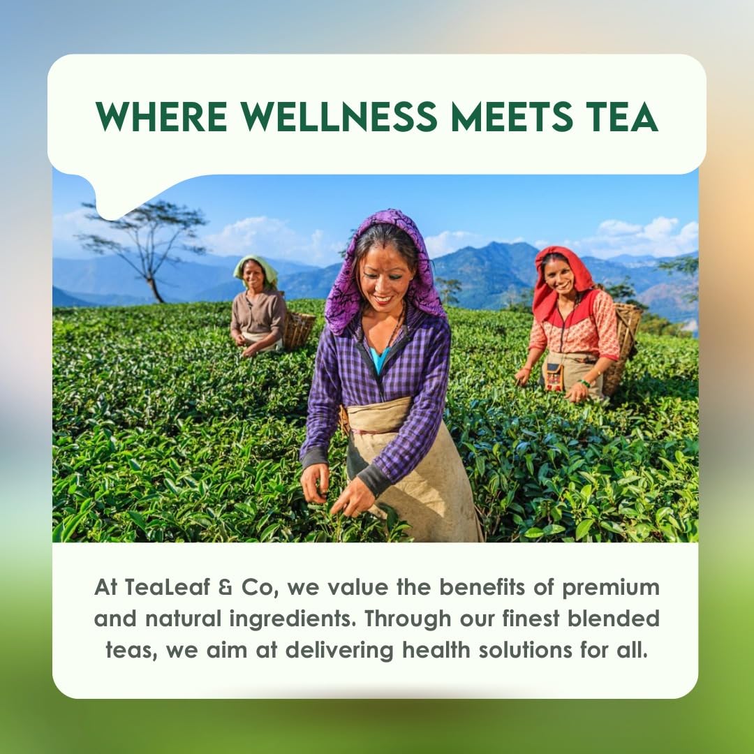 easy-to-brew-green-tea