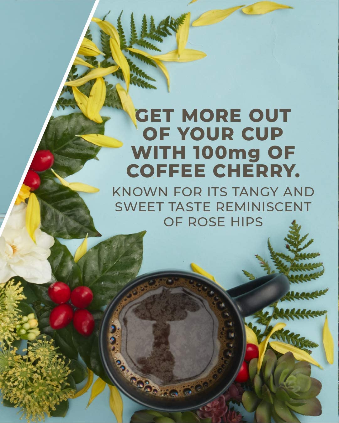 convenient-ground-coffee-multi-serve