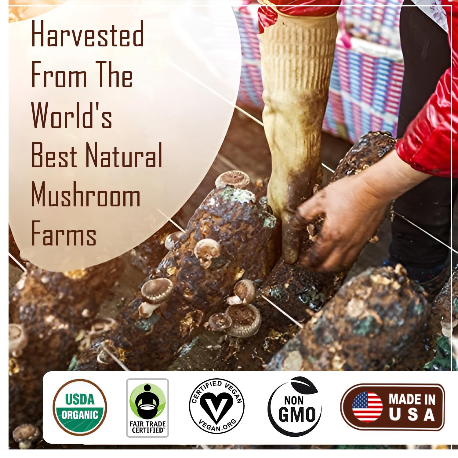 top-rated-cold-brew-coffee-lrla-superfoods