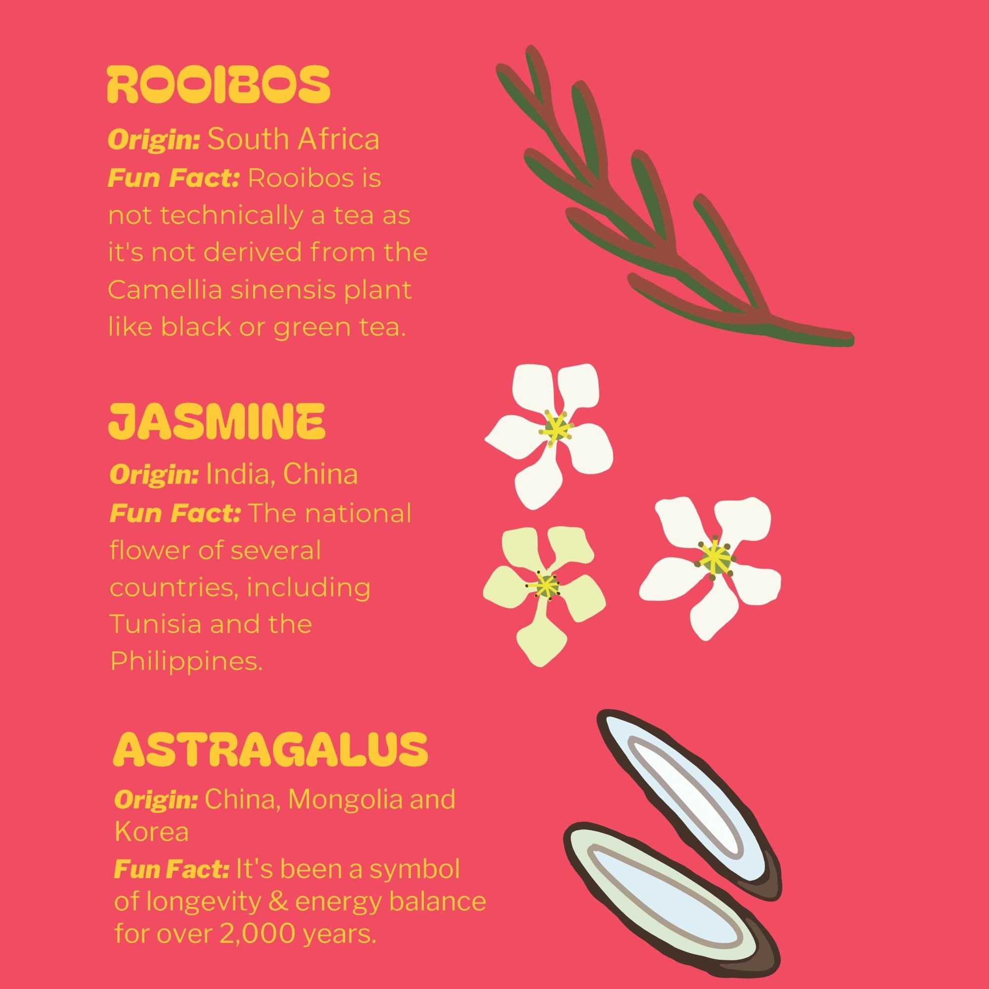 easy-to-brew-rooibos-tea