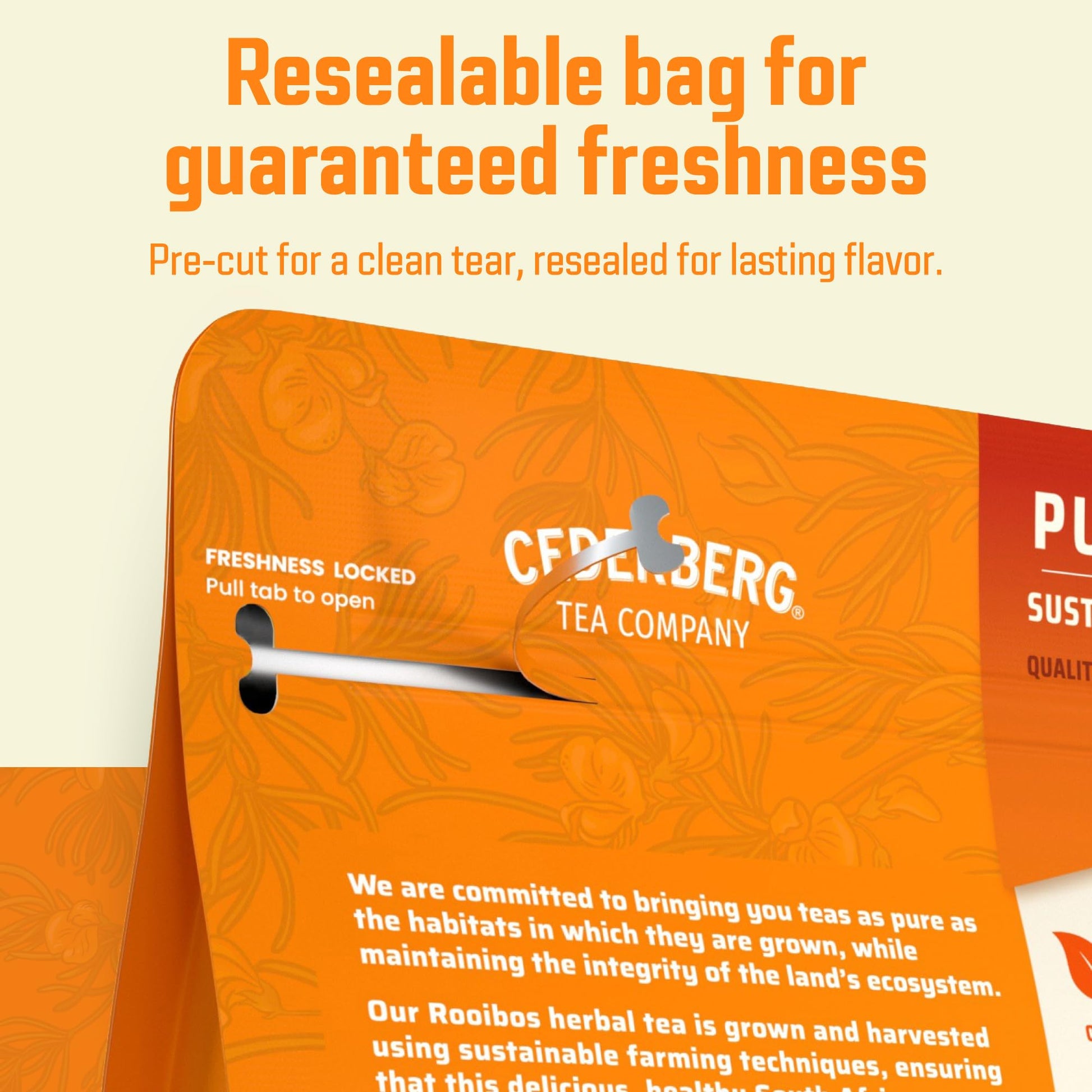 easy-to-brew-rooibos-tea