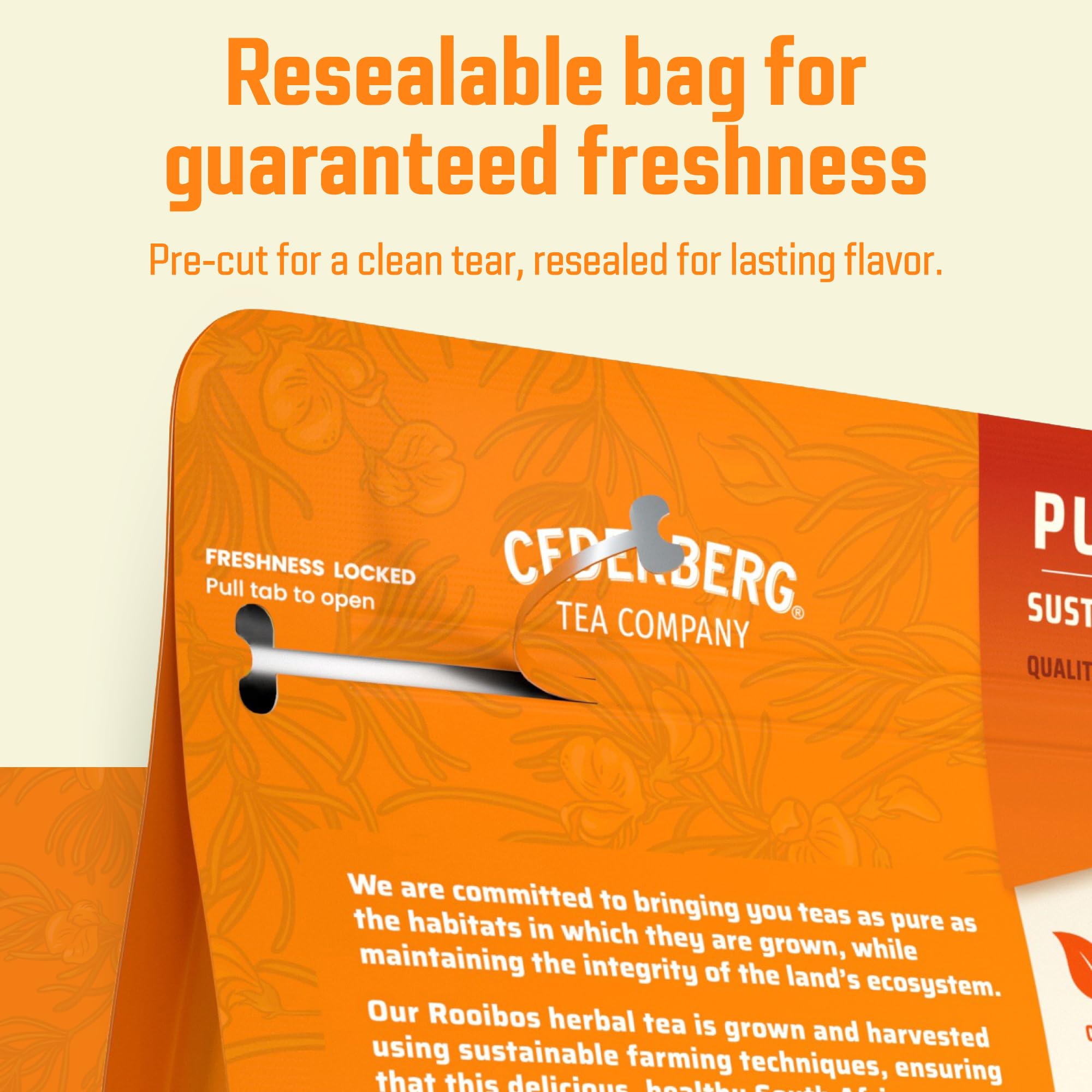 easy-to-brew-rooibos-tea