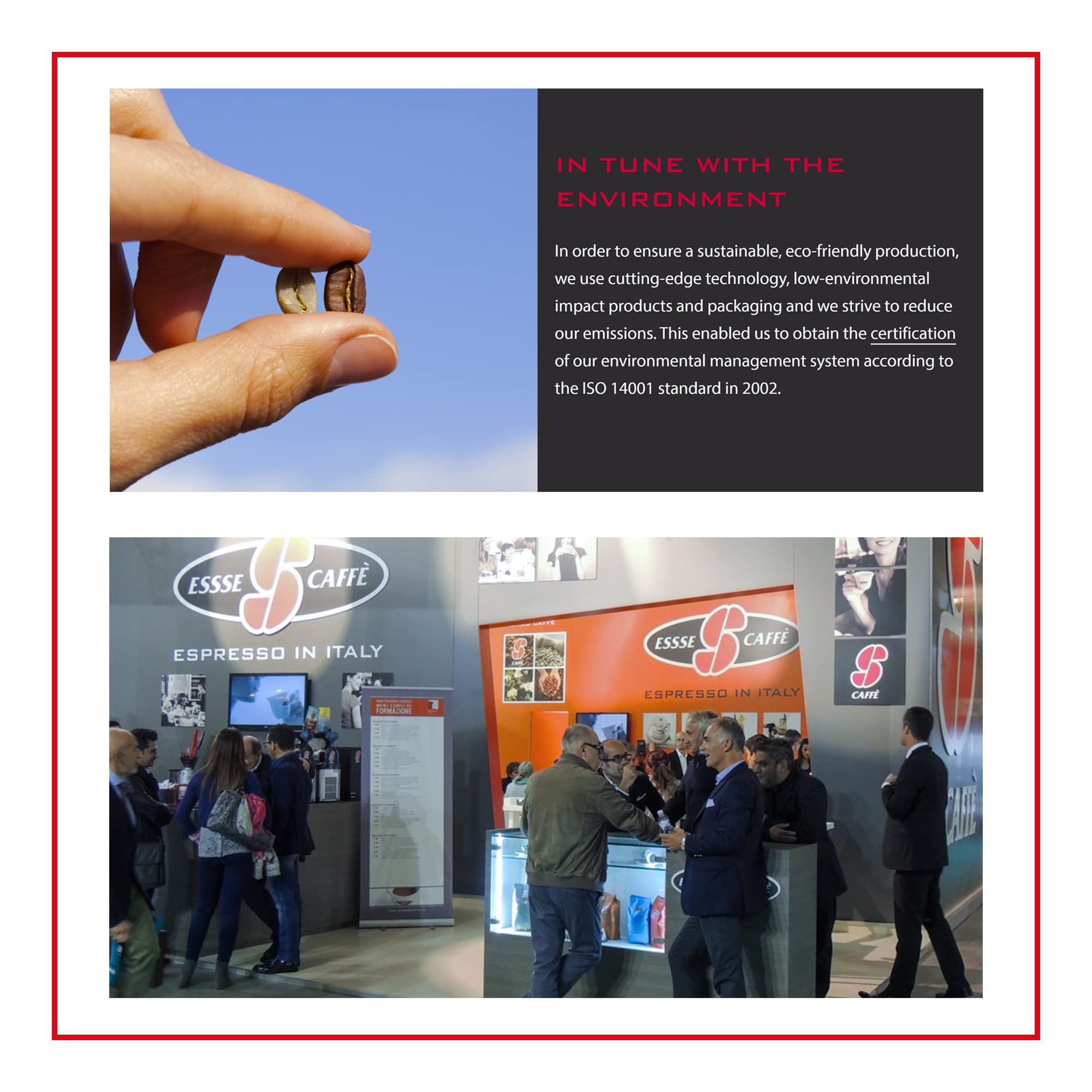 top-rated-whole-beans-essse-caff