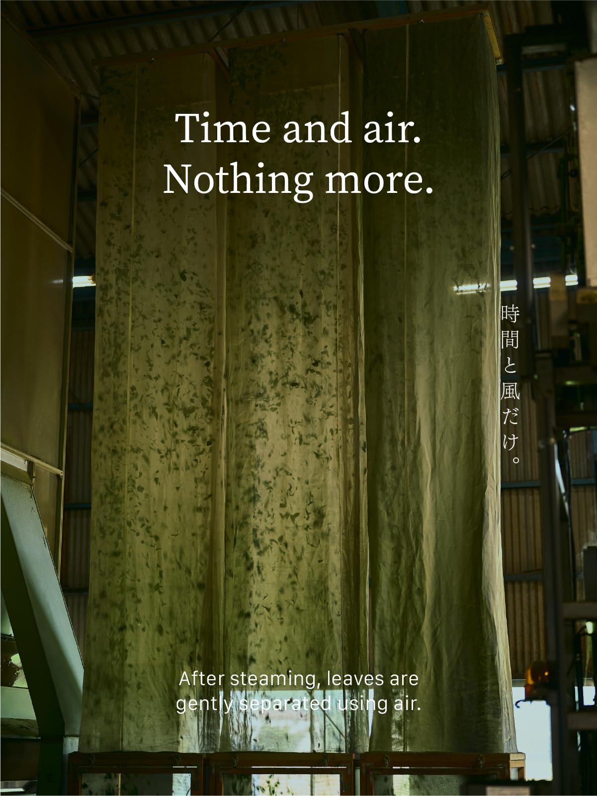 easy-to-brew-matcha-powder