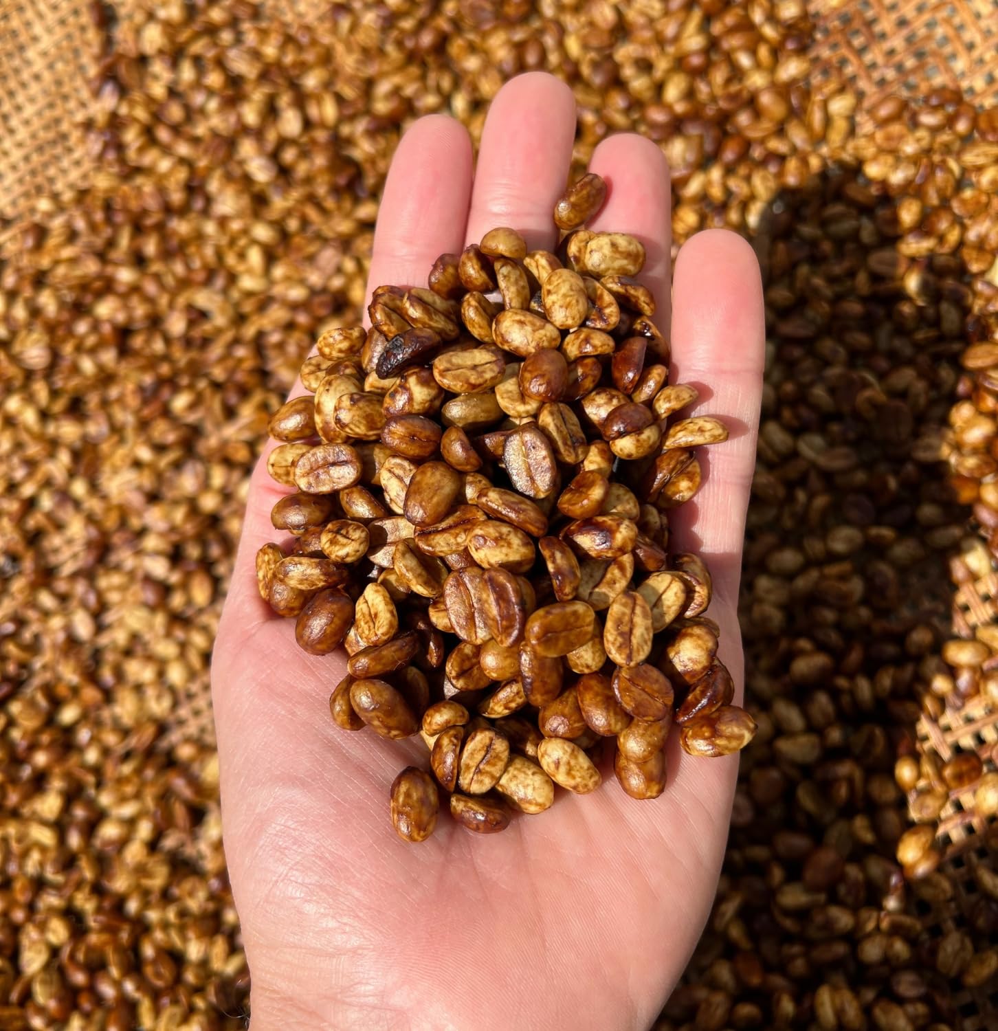 top-rated-instant-coffee-black-tucano