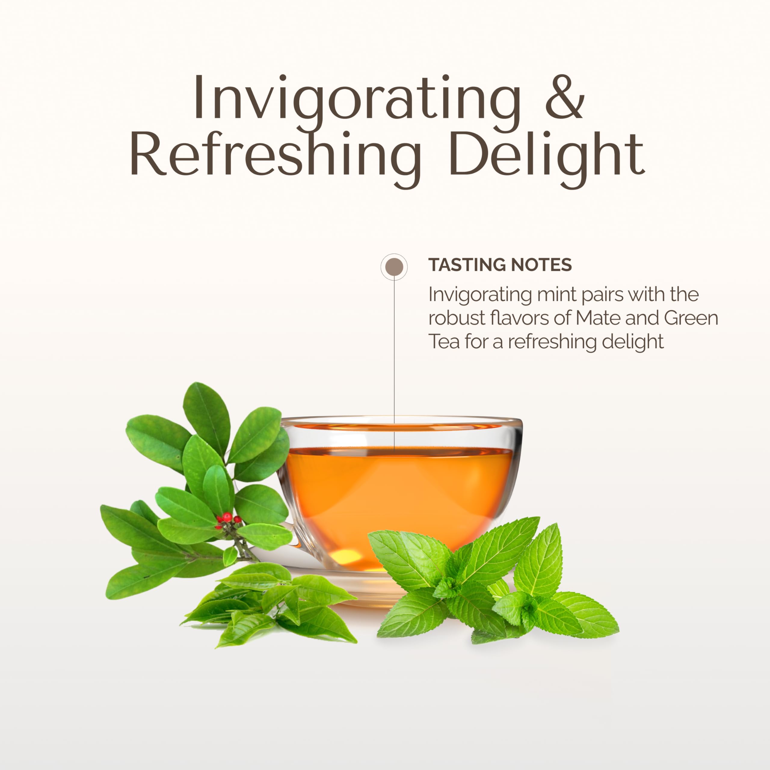 Palermo Tea Company, Green Tea