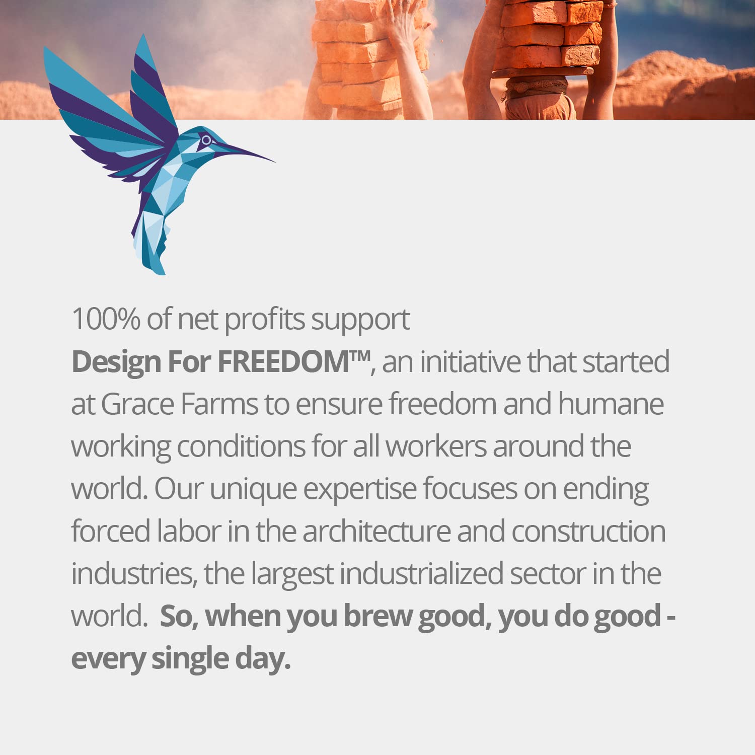 top-rated-decaf-coffee-grace-farms