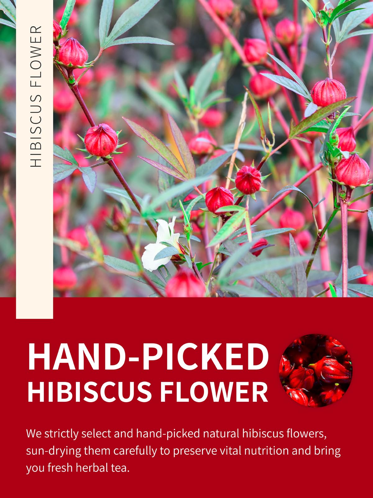 rich-full-bodied-instant-tea