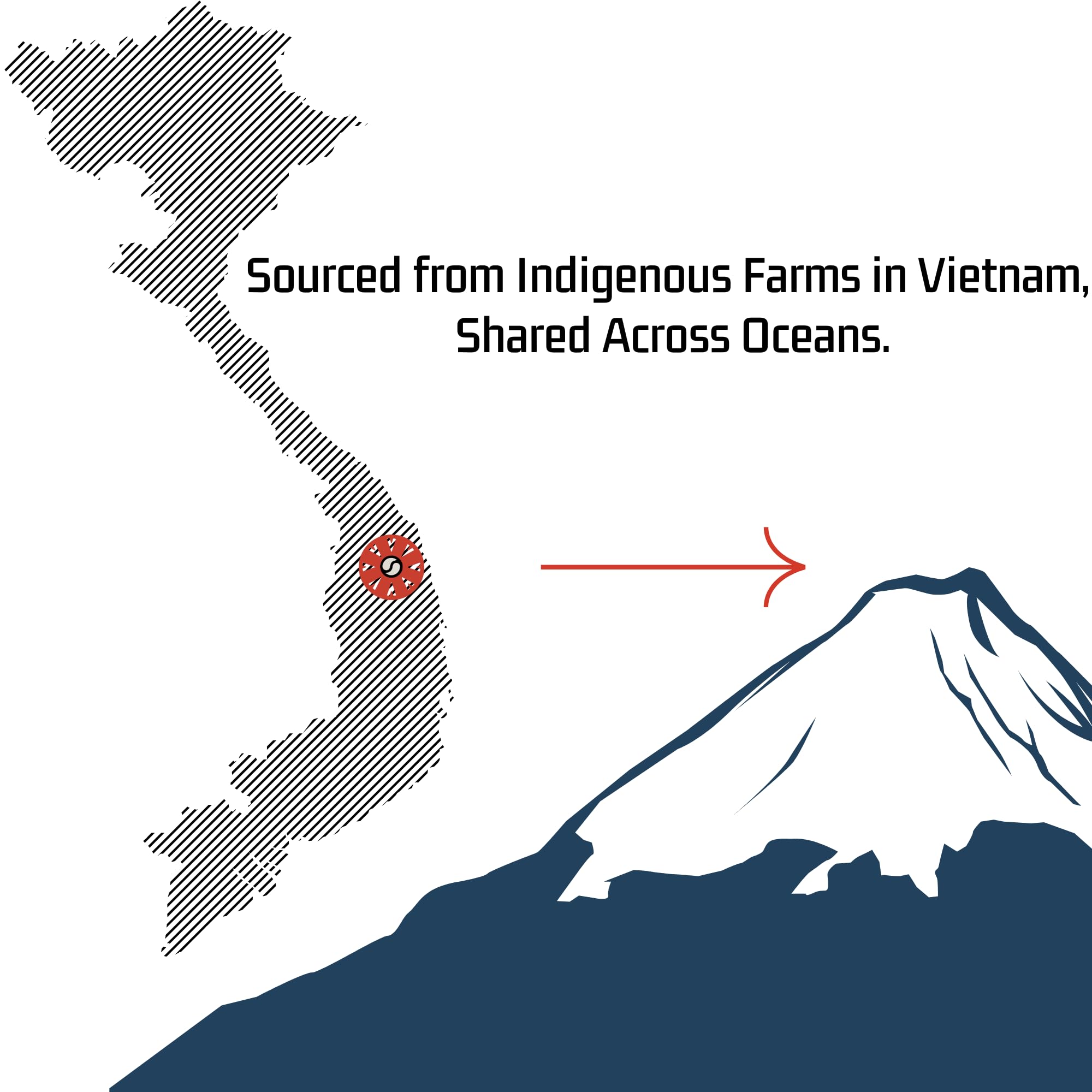 rich-full-bodied-coffee-pods-k-cups-etc