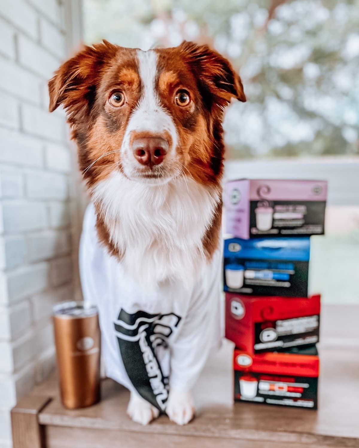 smooth-bold-flavor-coffee-pods-k-cups-etc