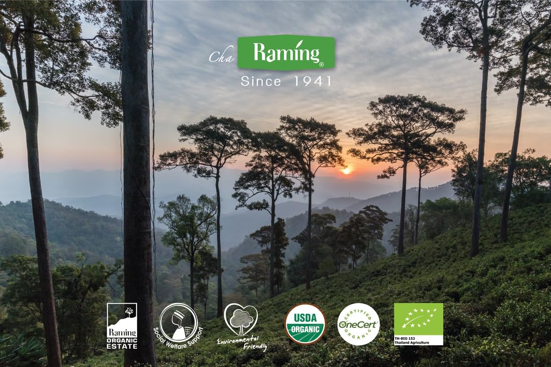 top-rated-instant-tea-raming