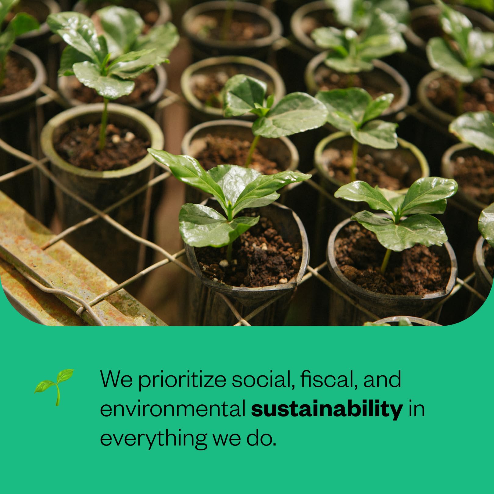 easy-to-brew-whole-beans