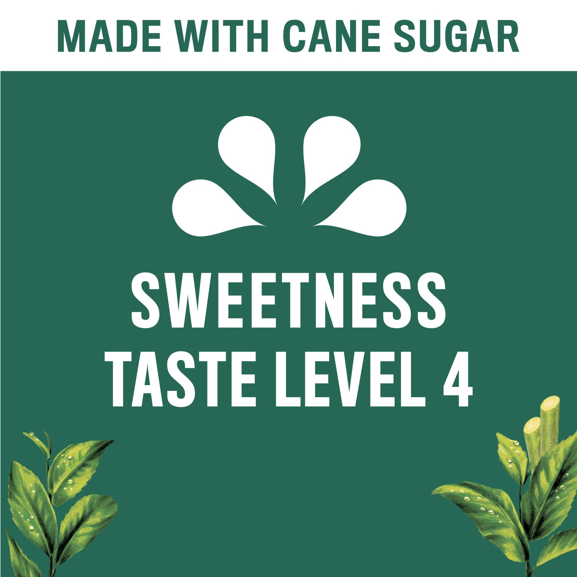 rich-full-bodied-black-tea