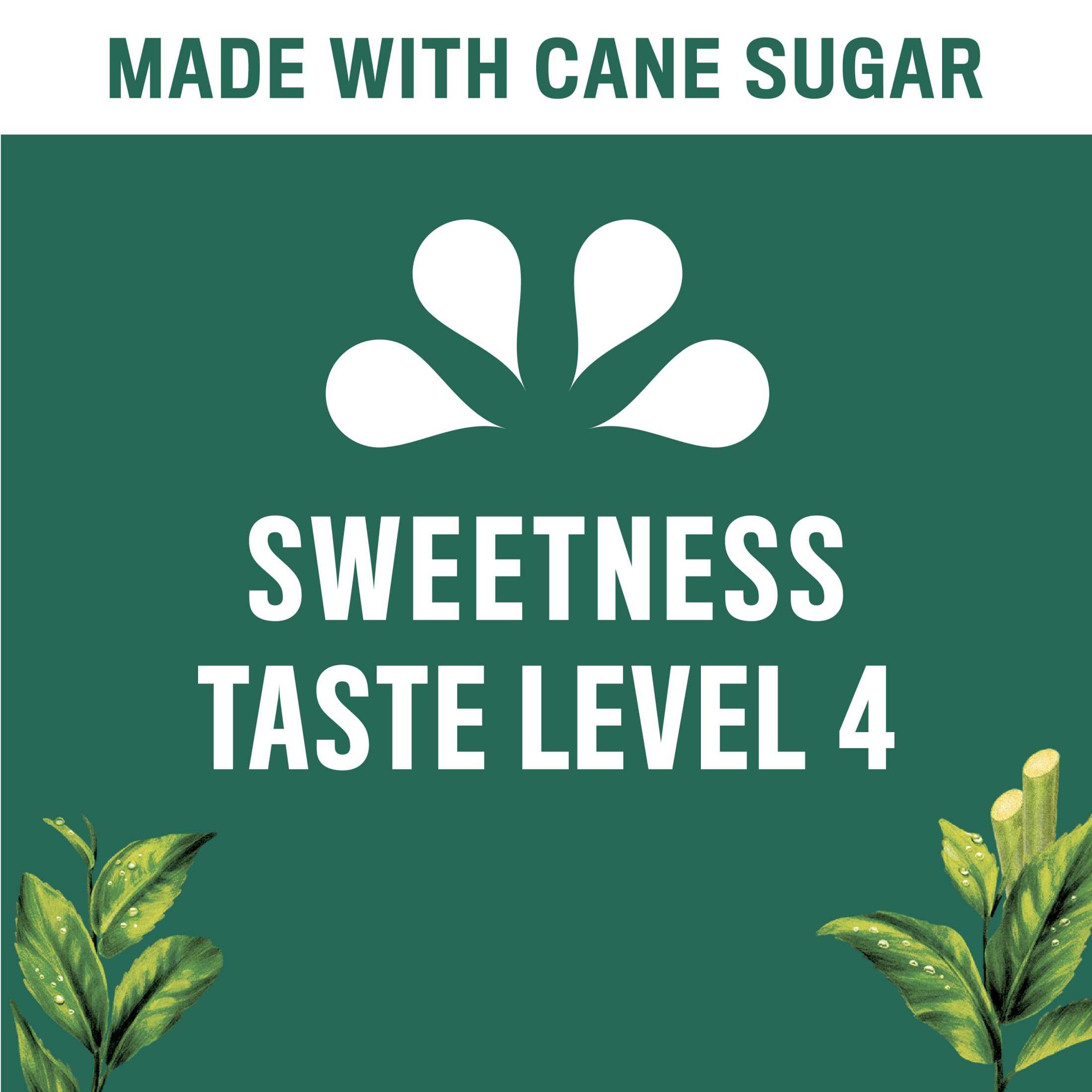 rich-full-bodied-black-tea