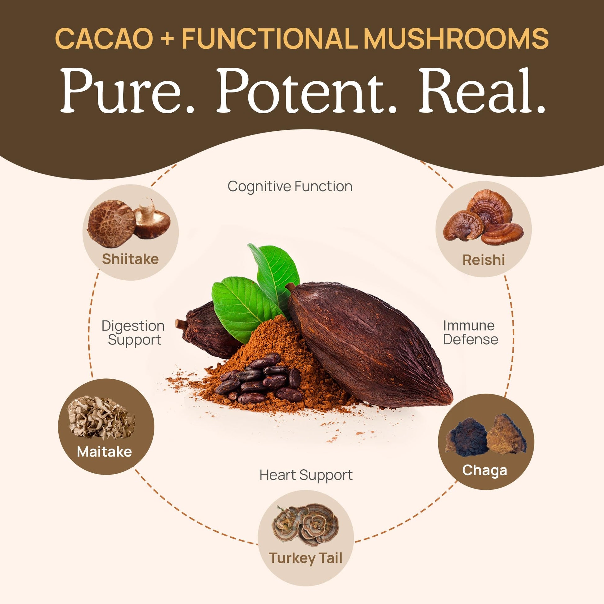 premium-instant-coffee-real-mushrooms