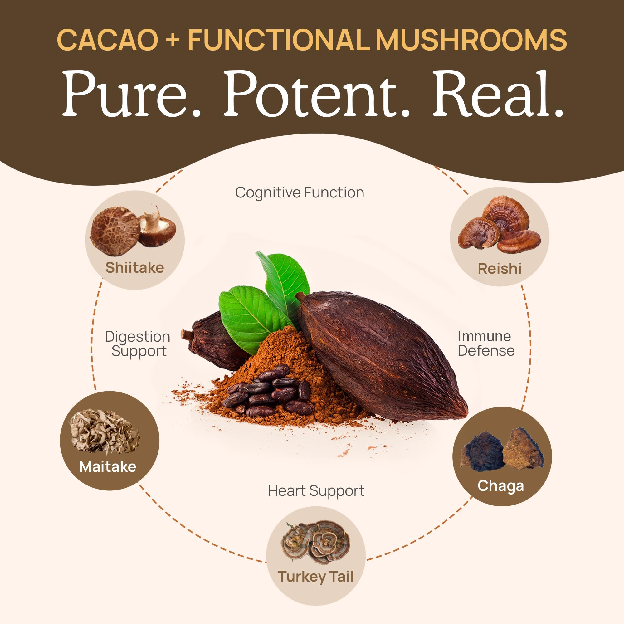 premium-instant-coffee-real-mushrooms