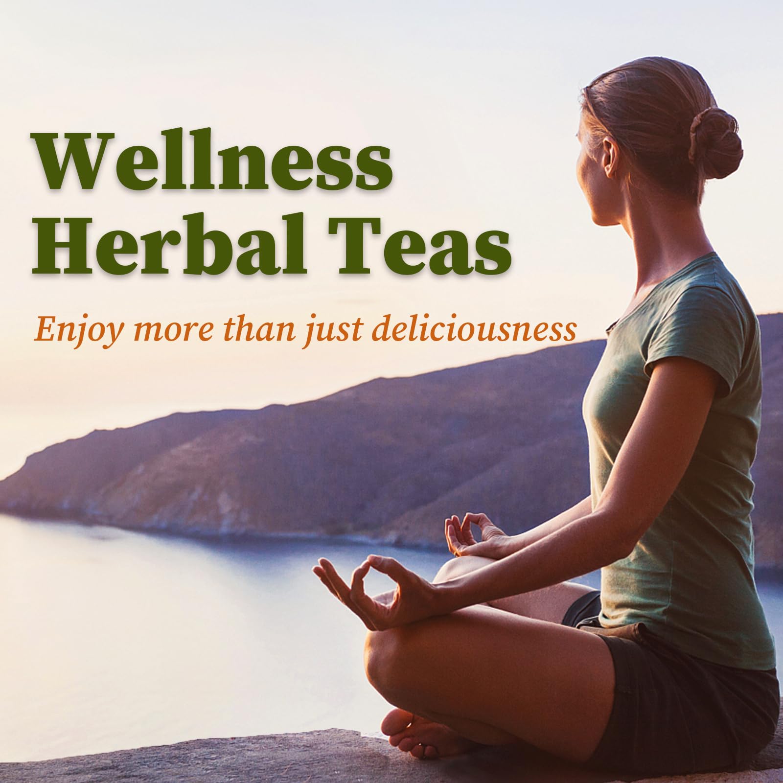 top-rated-yerba-mate-fullchea