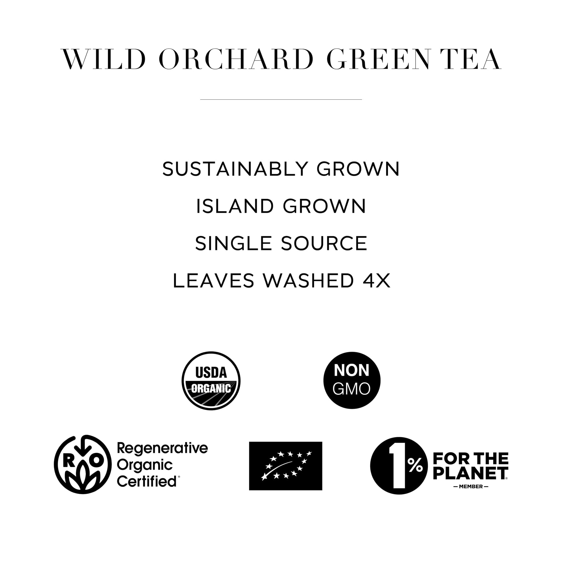 premium-black-tea-wild-orchard