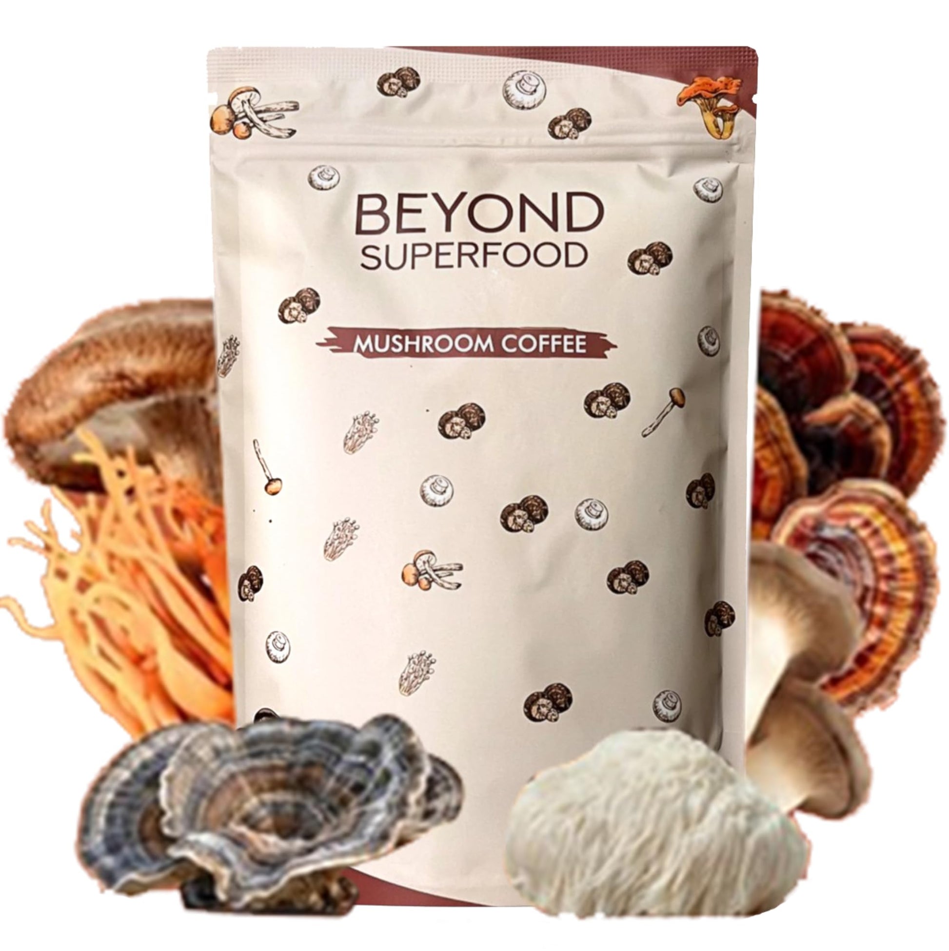 best-mushroom-coffee-beyond-superfood-light