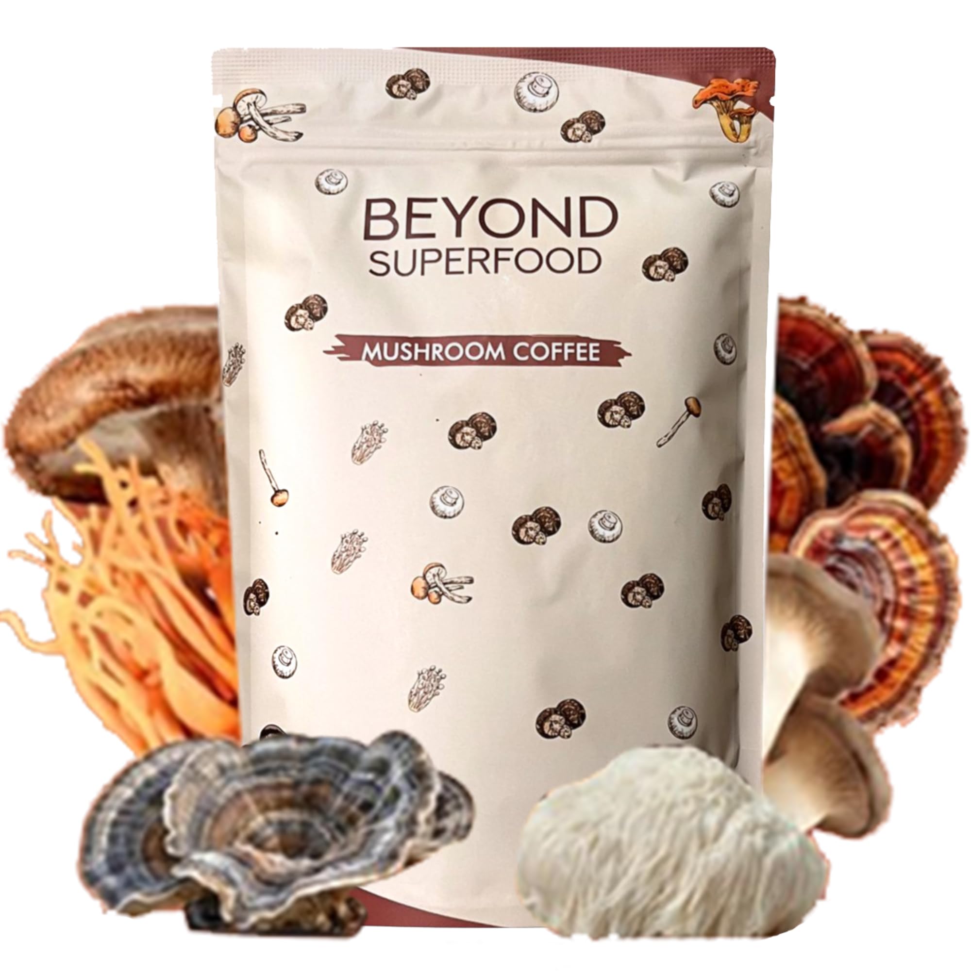 best-mushroom-coffee-beyond-superfood-light