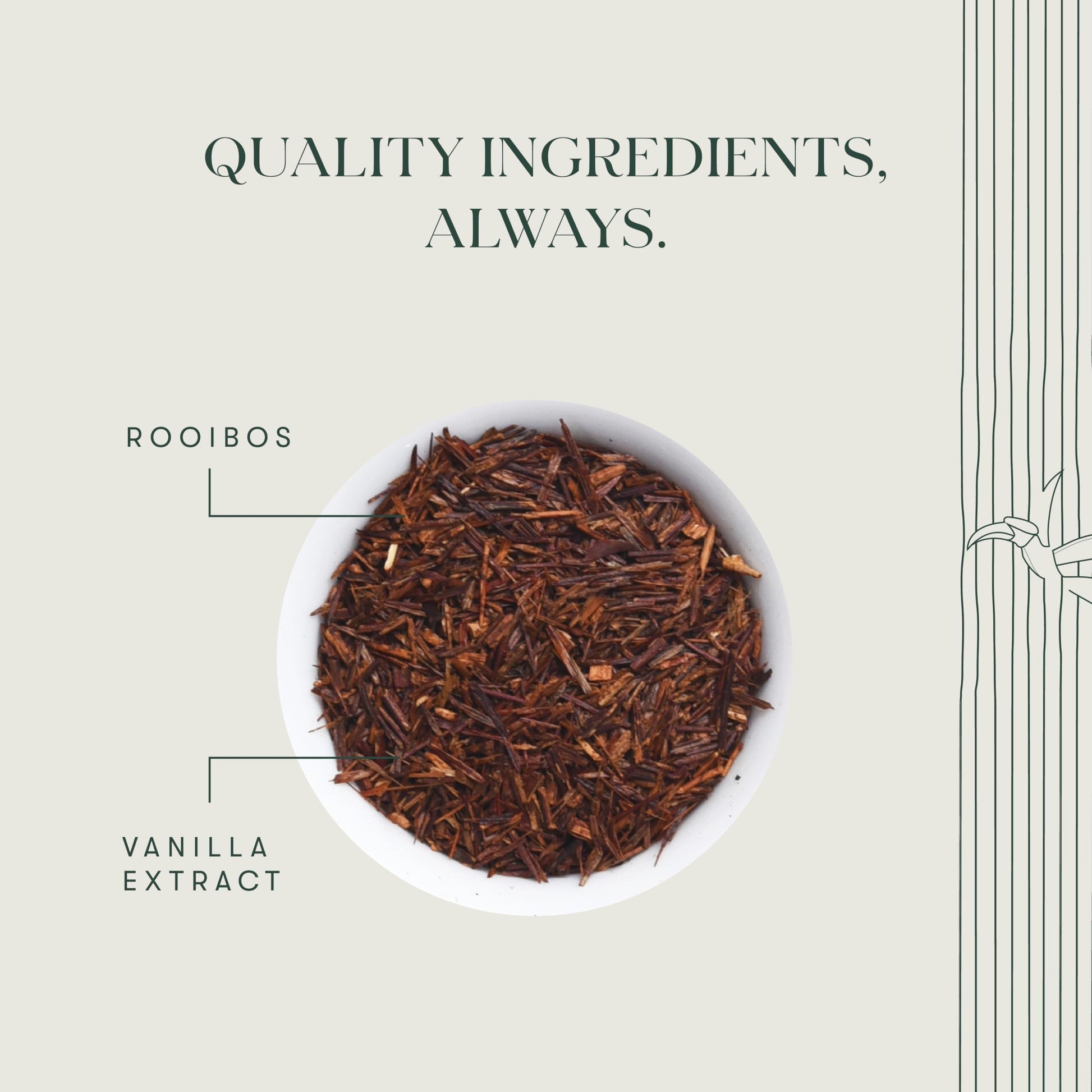 premium-rooibos-tea-luxmi