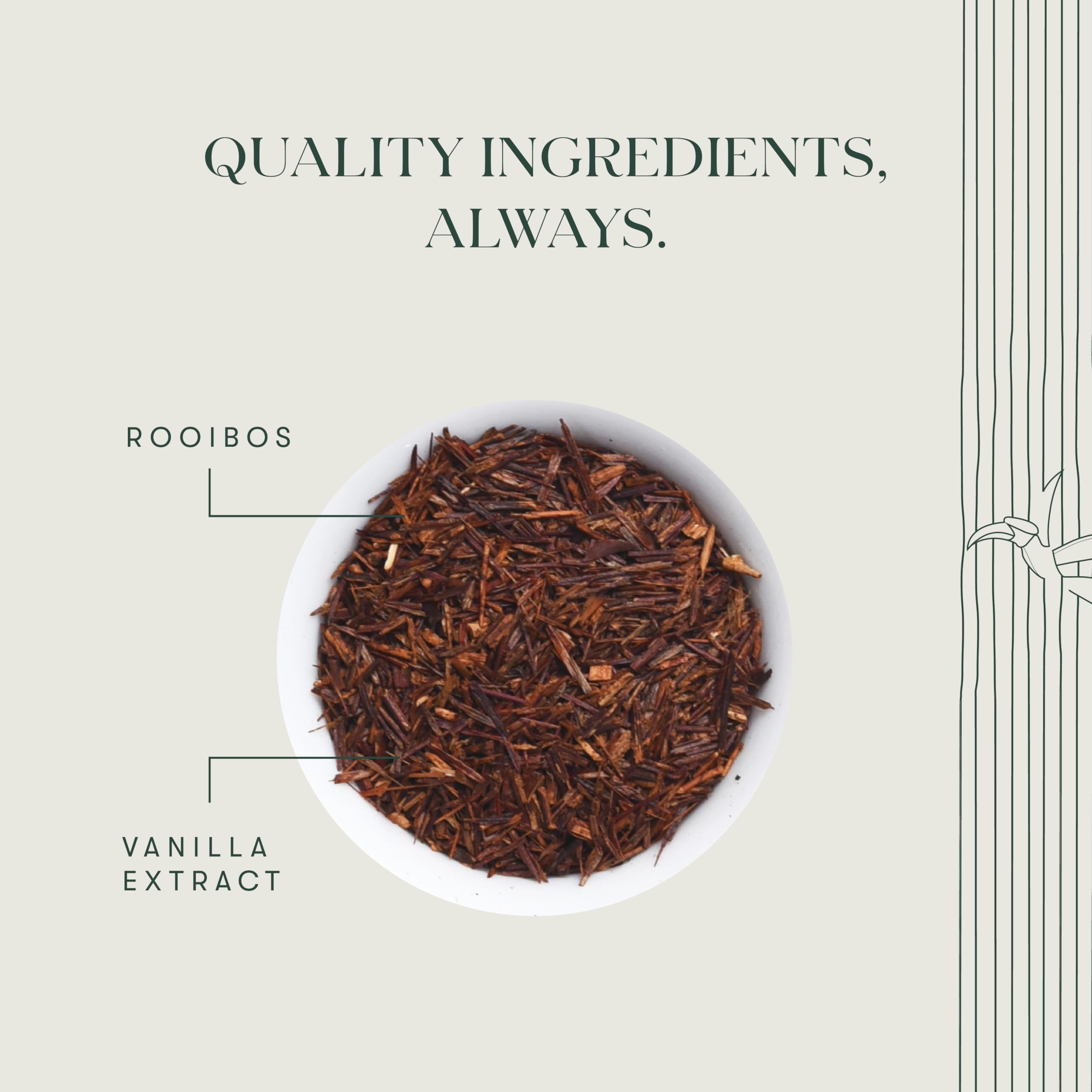 premium-rooibos-tea-luxmi