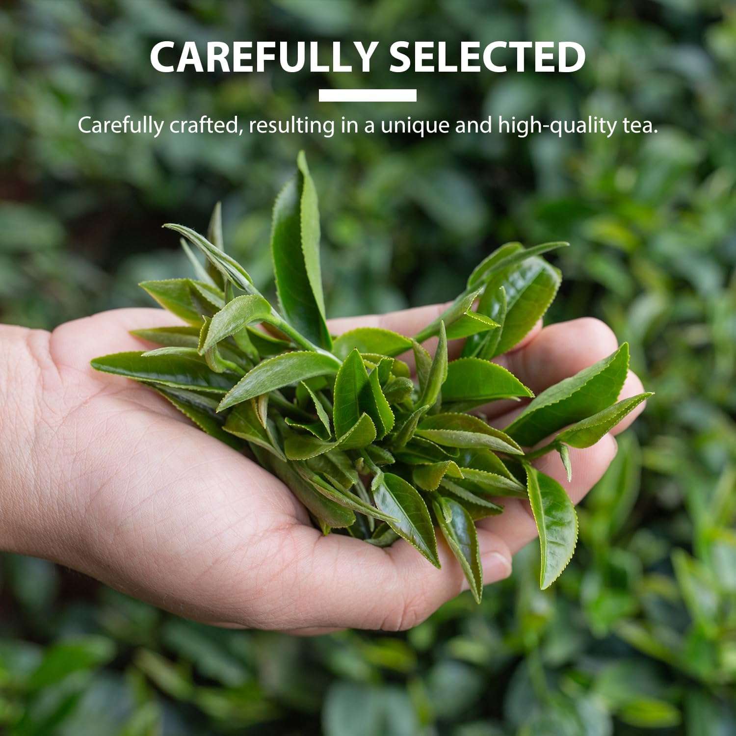 top-rated-cold-brew-coffee-soeos