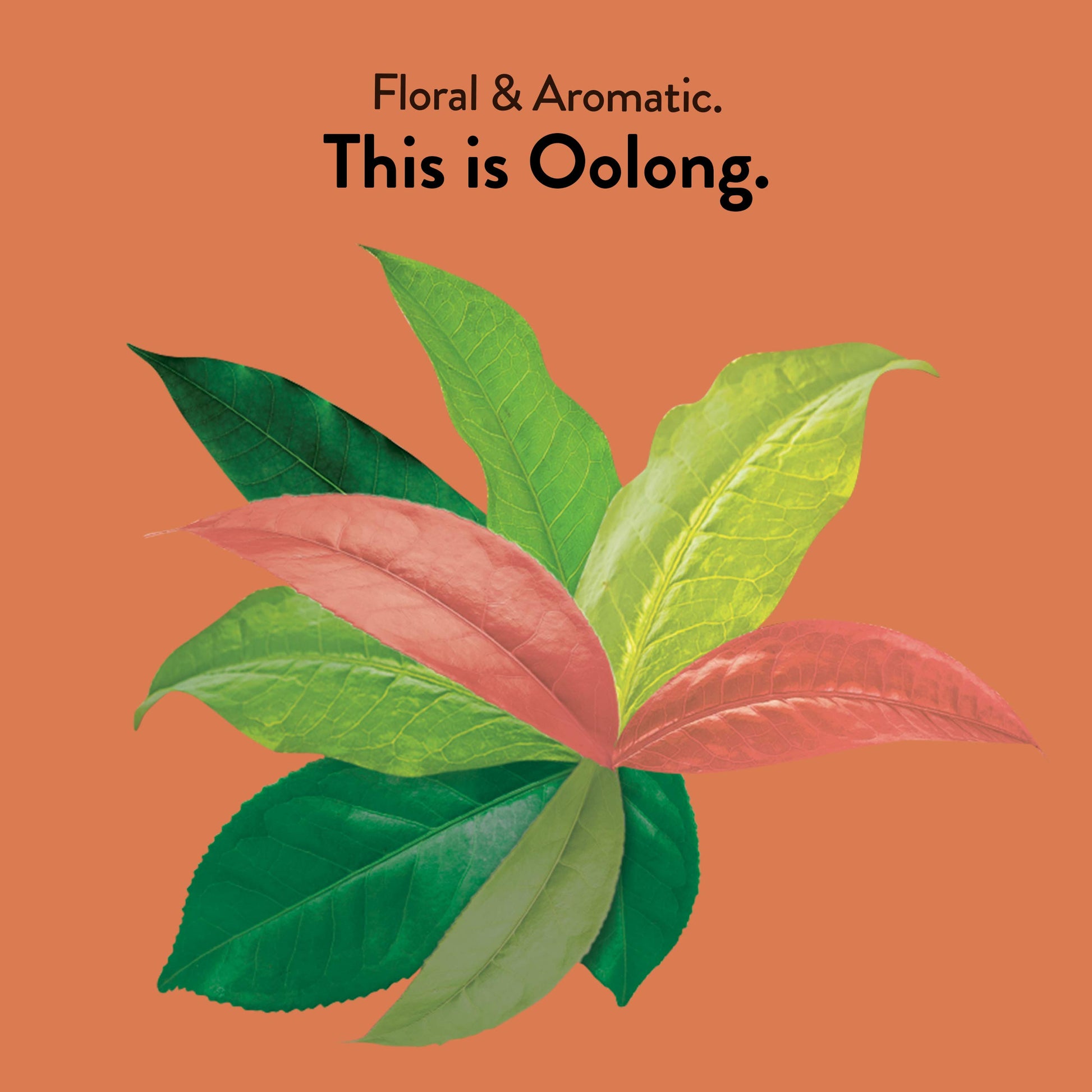 rich-full-bodied-instant-coffee