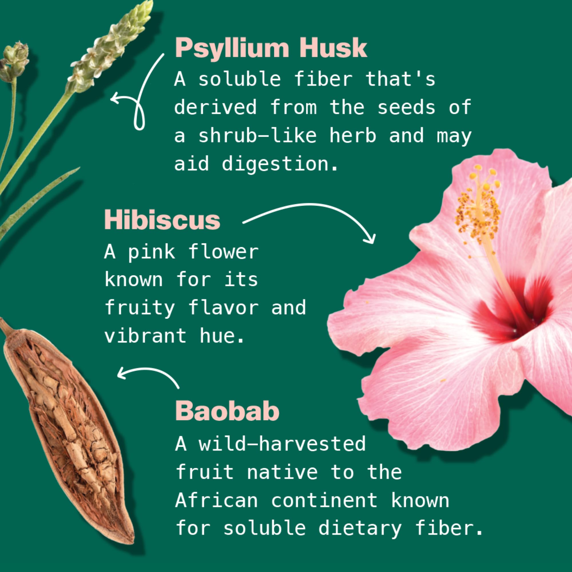 rich-full-bodied-latte-mix