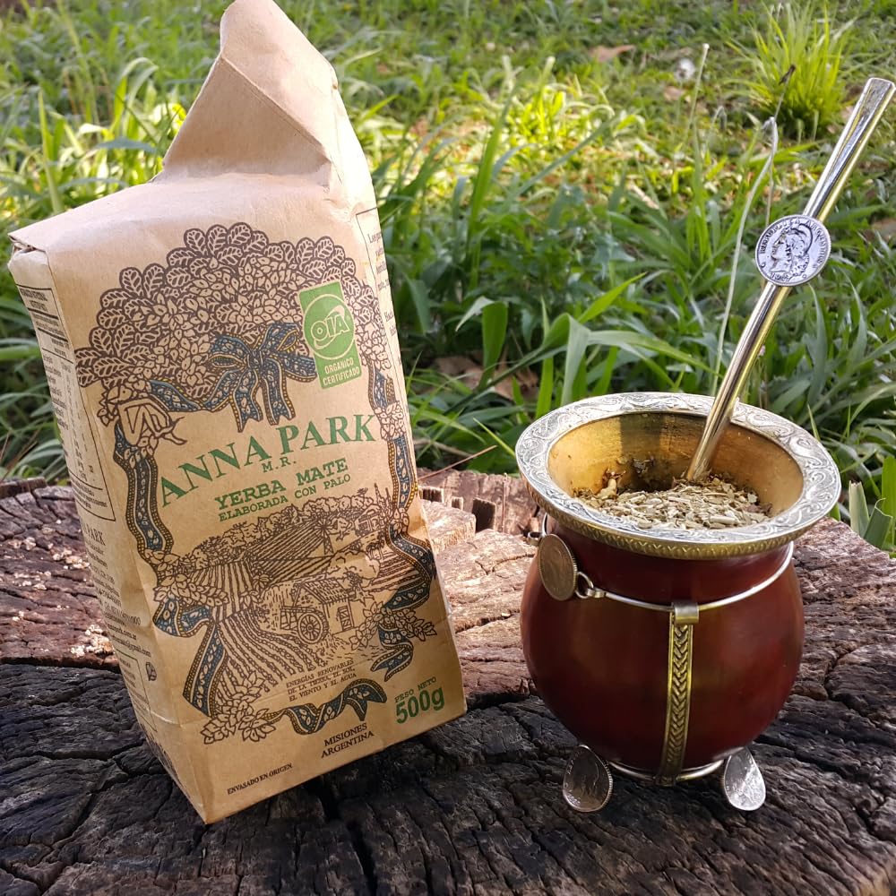top-rated-yerba-mate-latam-concept