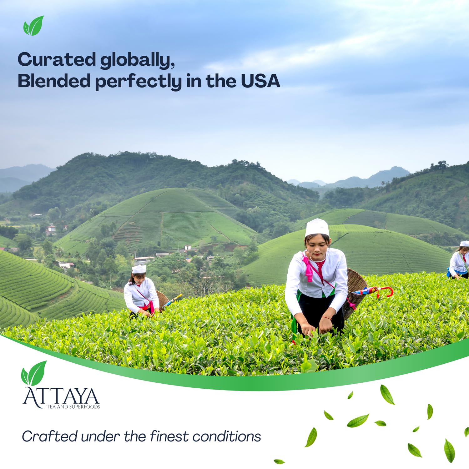 top-rated-instant-tea-attaya