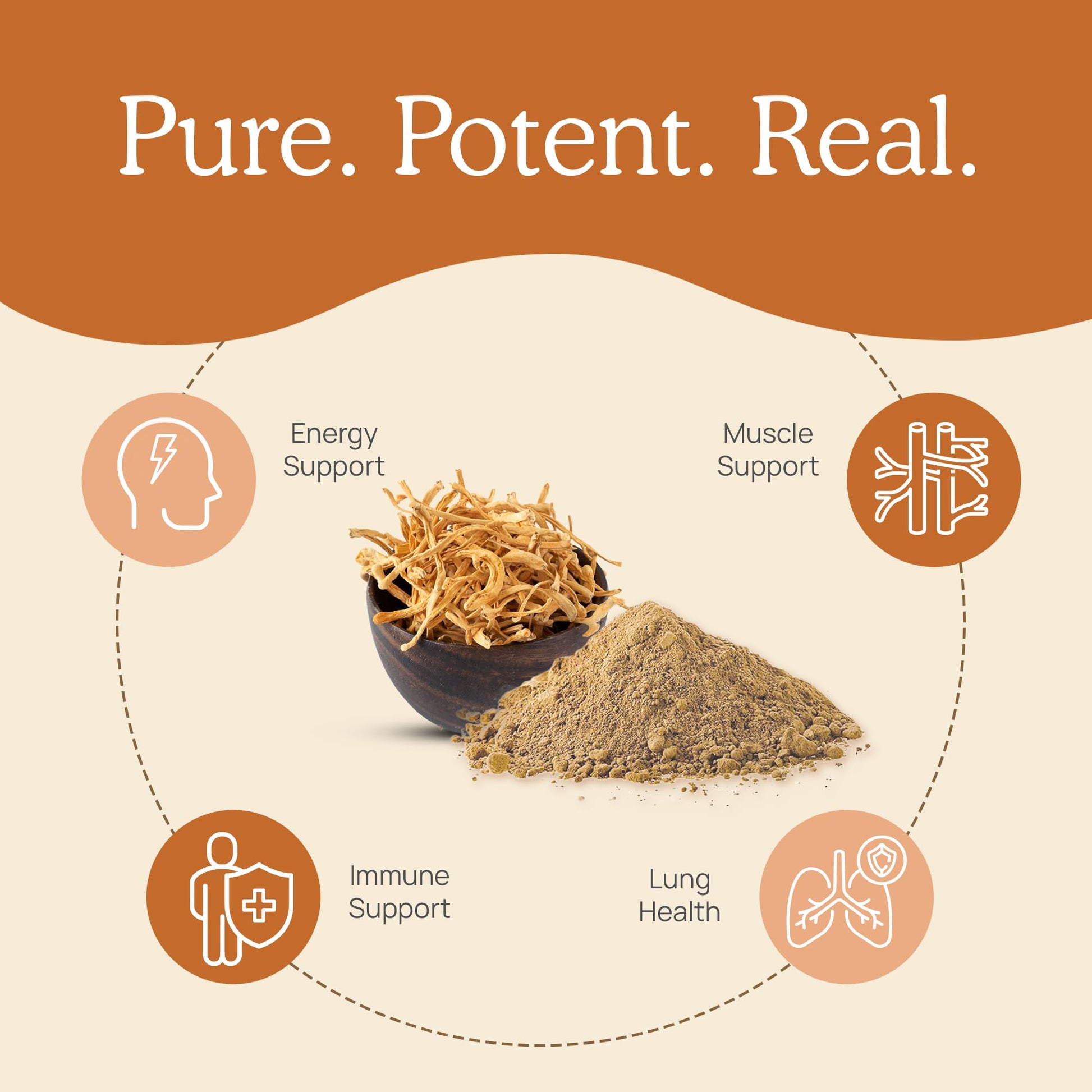 rich-full-bodied-mushroom-coffee